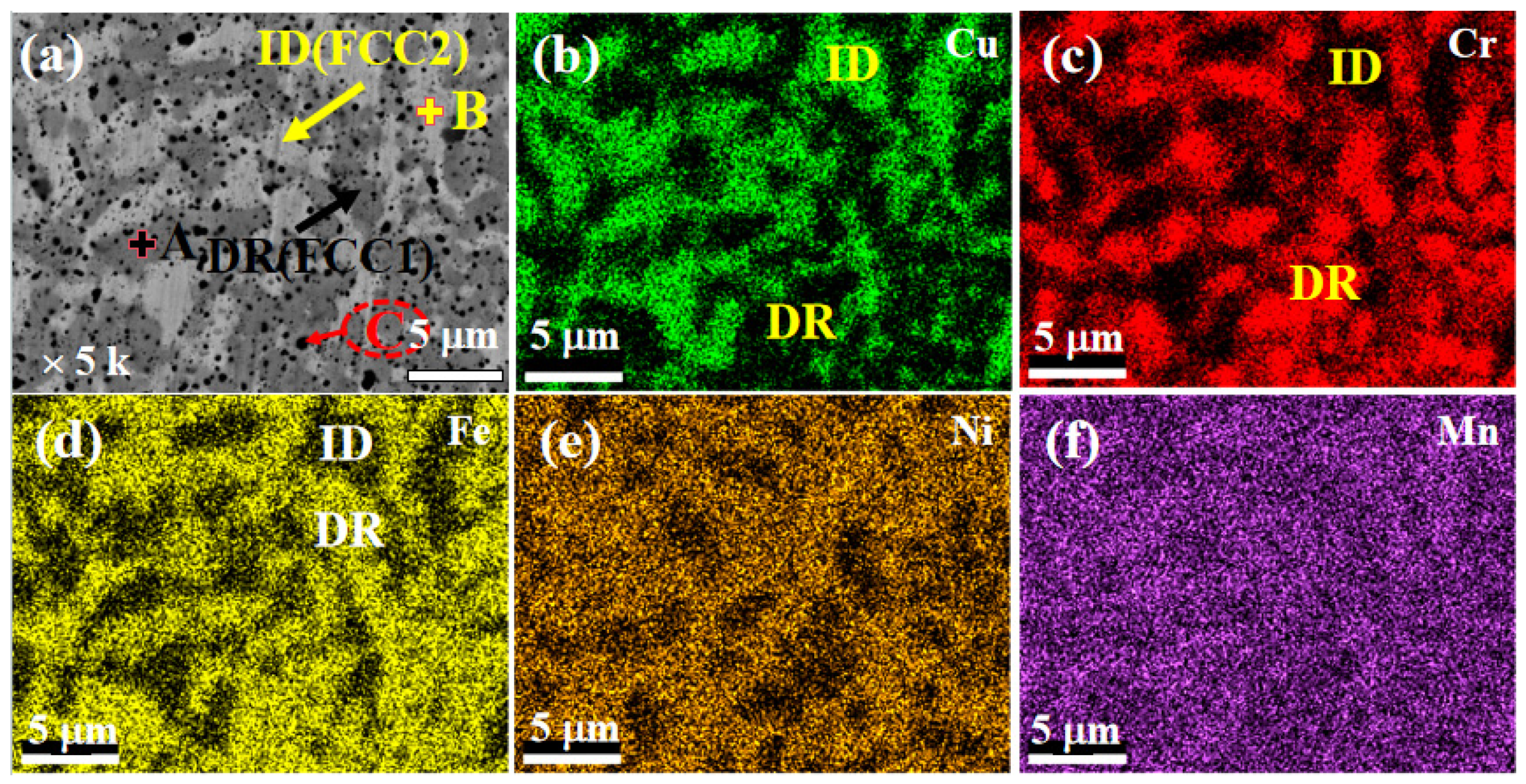 Coatings 14 00831 g005