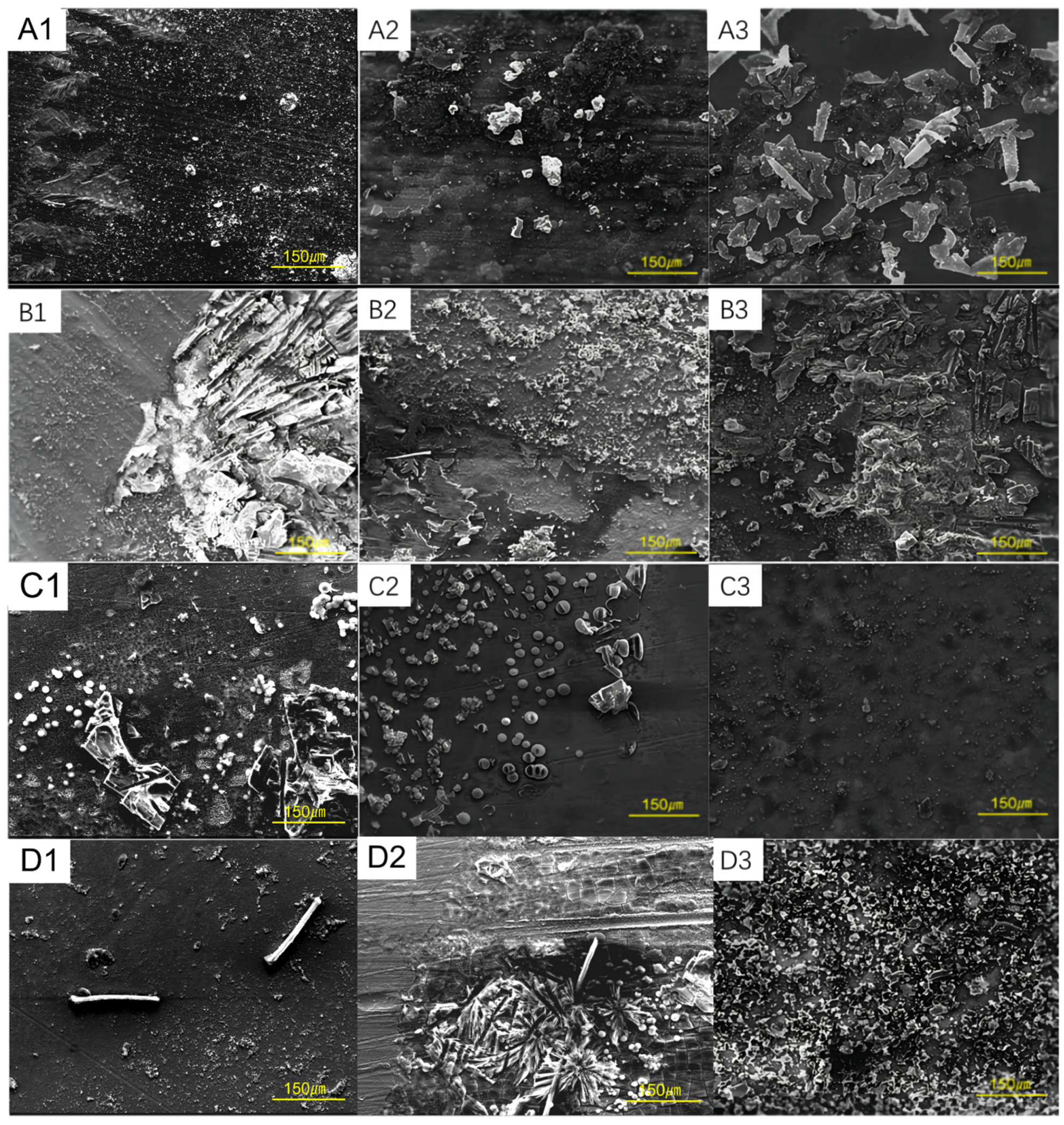 Coatings 14 00834 g003