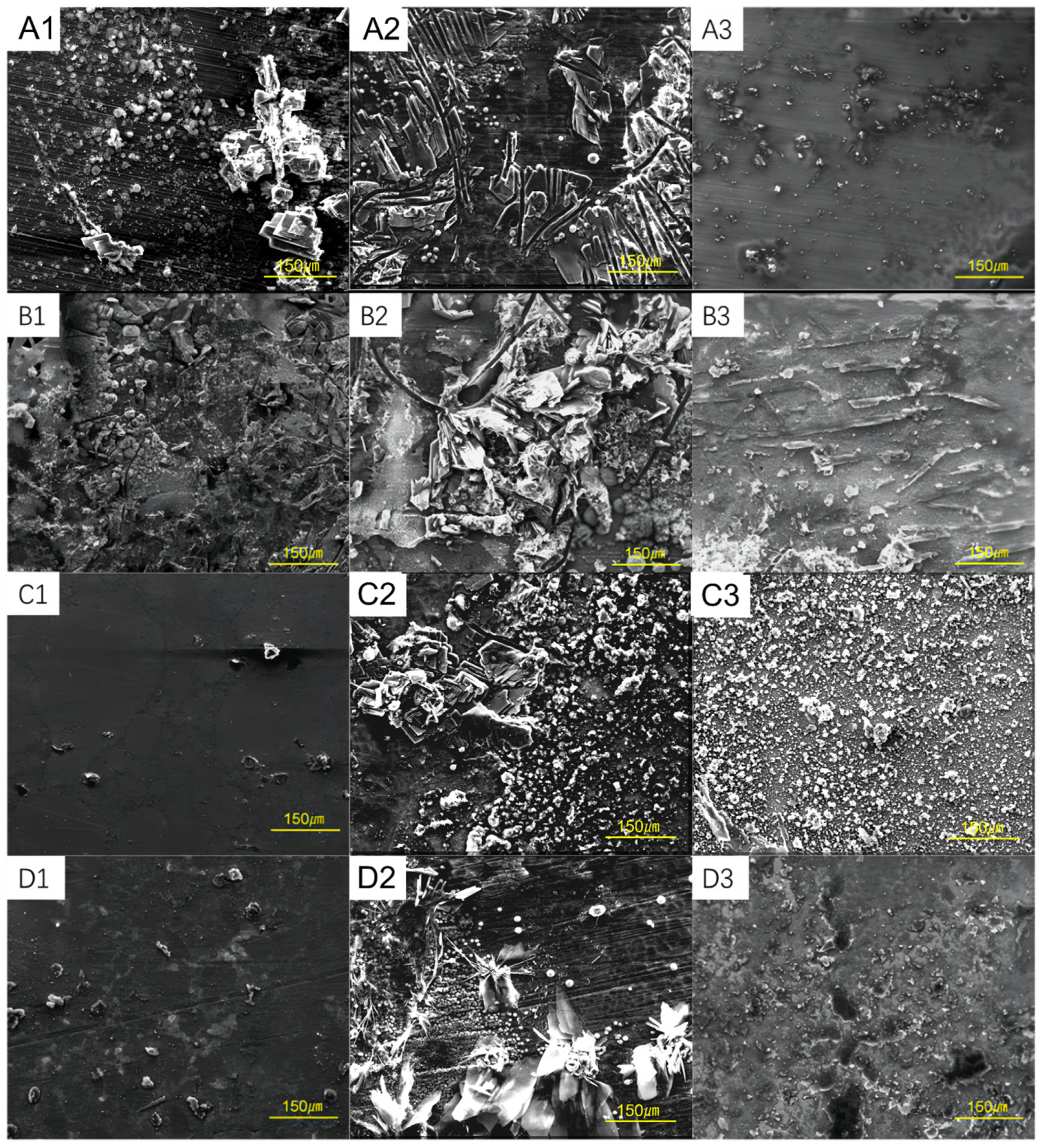 Coatings 14 00834 g004