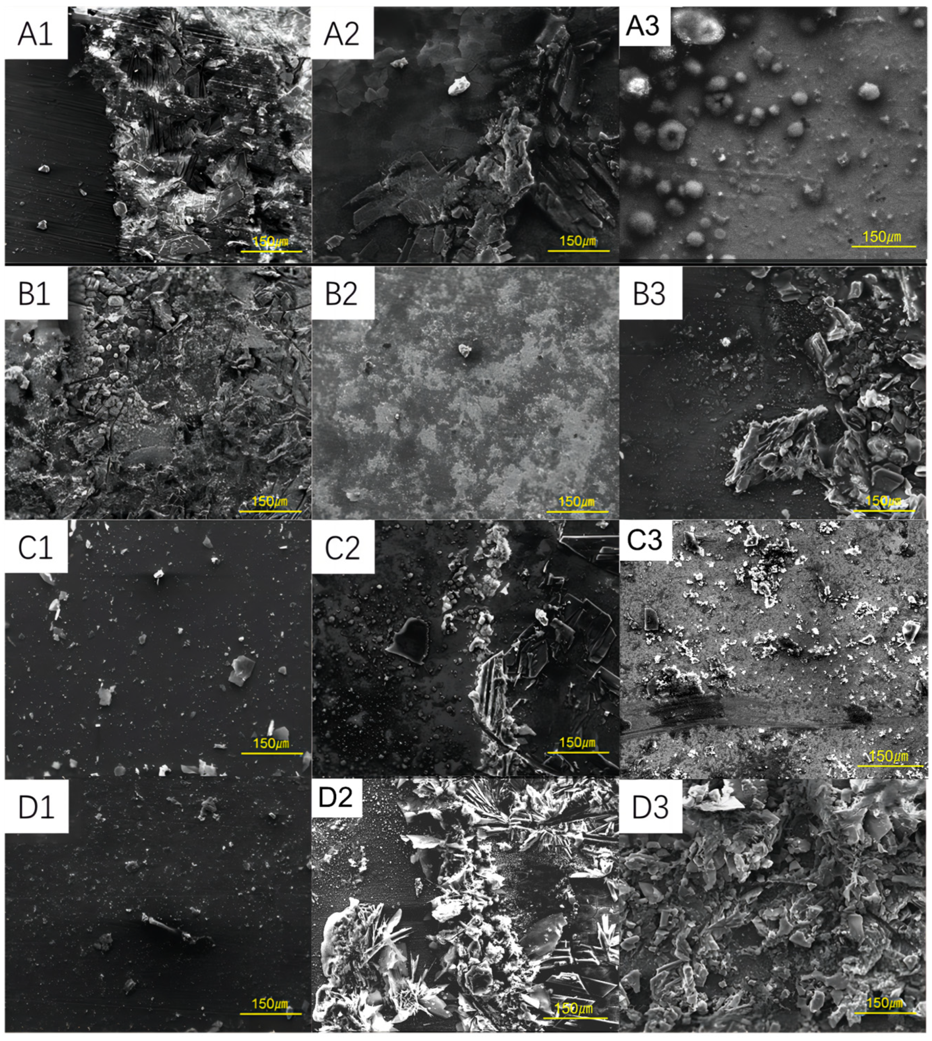 Coatings 14 00834 g005