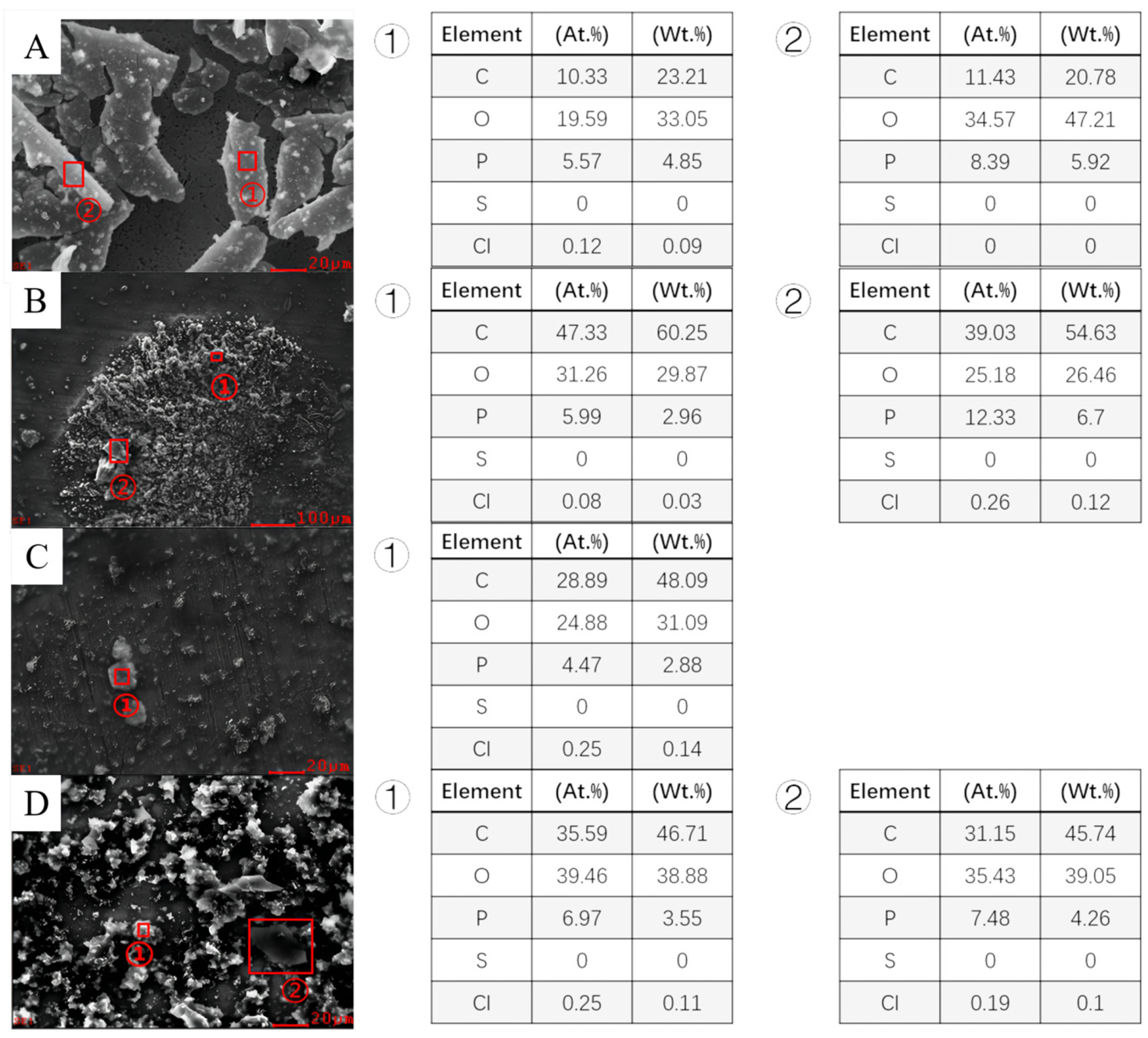 Coatings 14 00834 g006