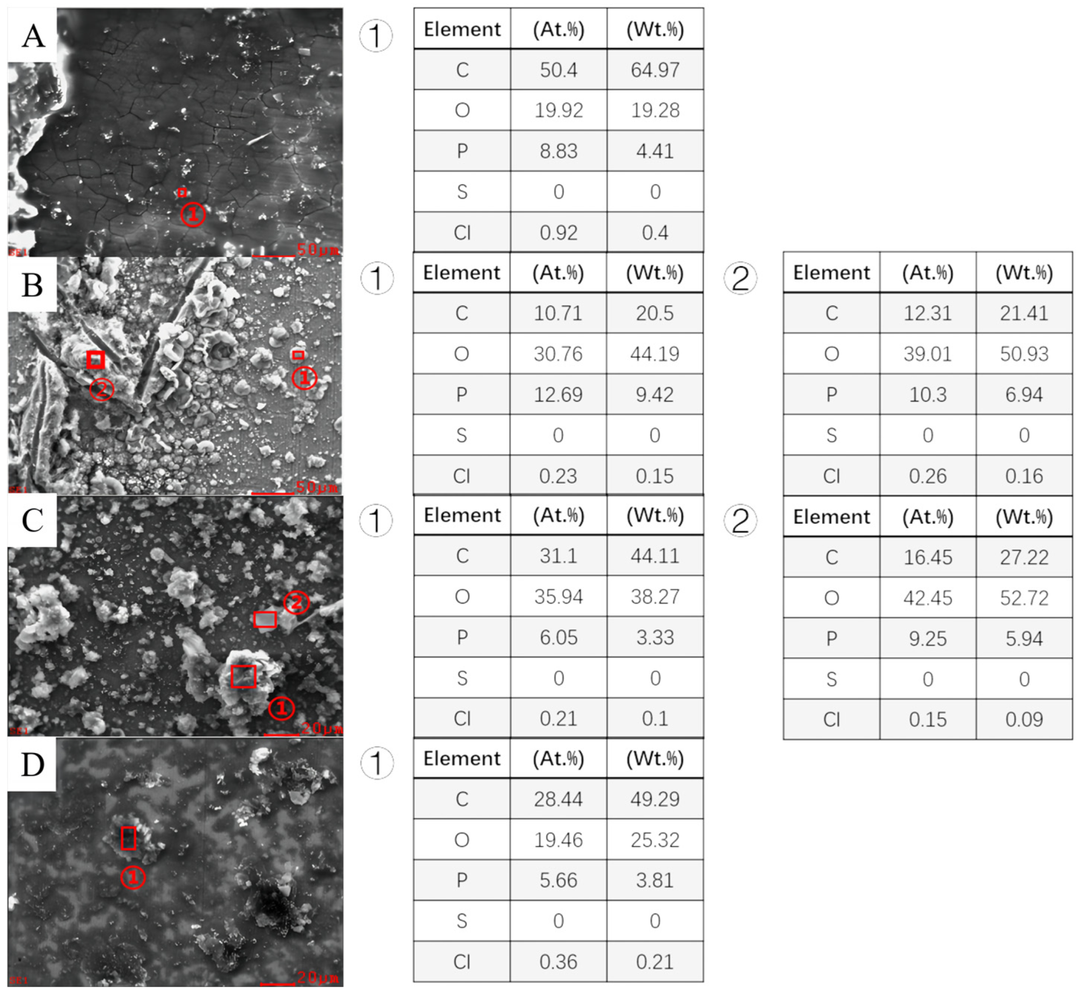 Coatings 14 00834 g007
