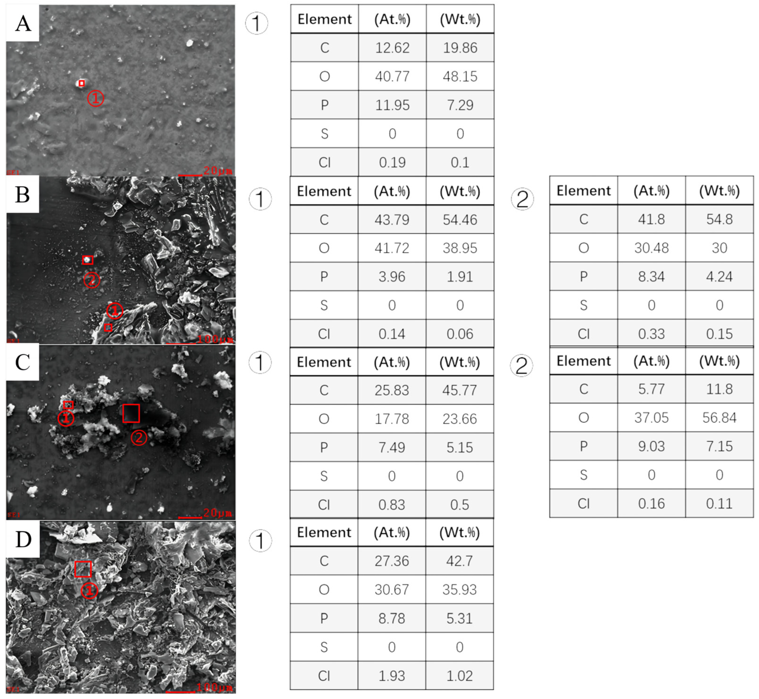 Coatings 14 00834 g008