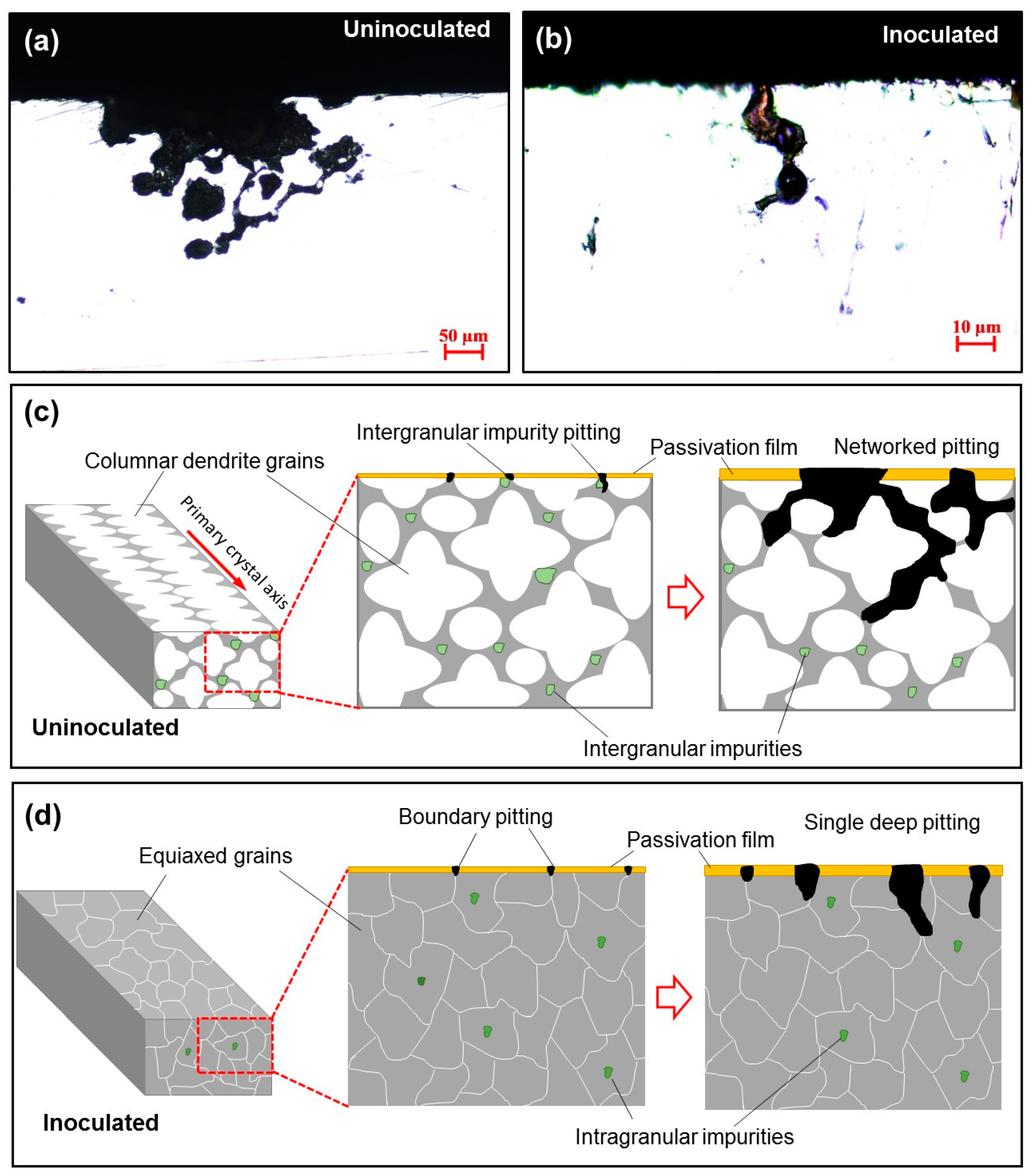 Coatings 14 00836 g004