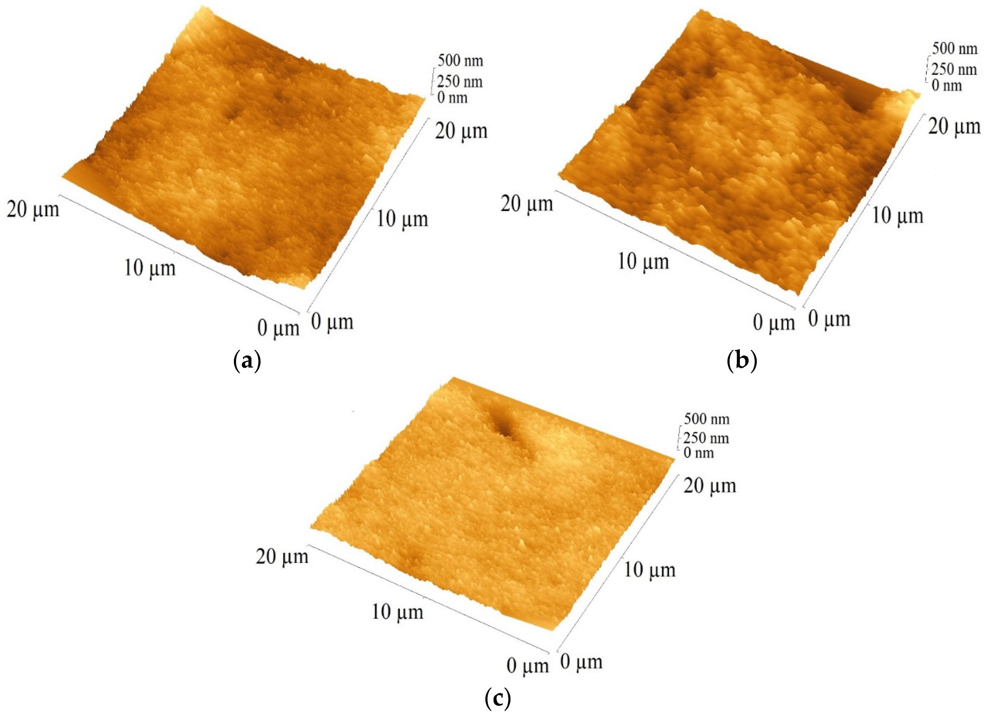 Coatings 14 00837 g003