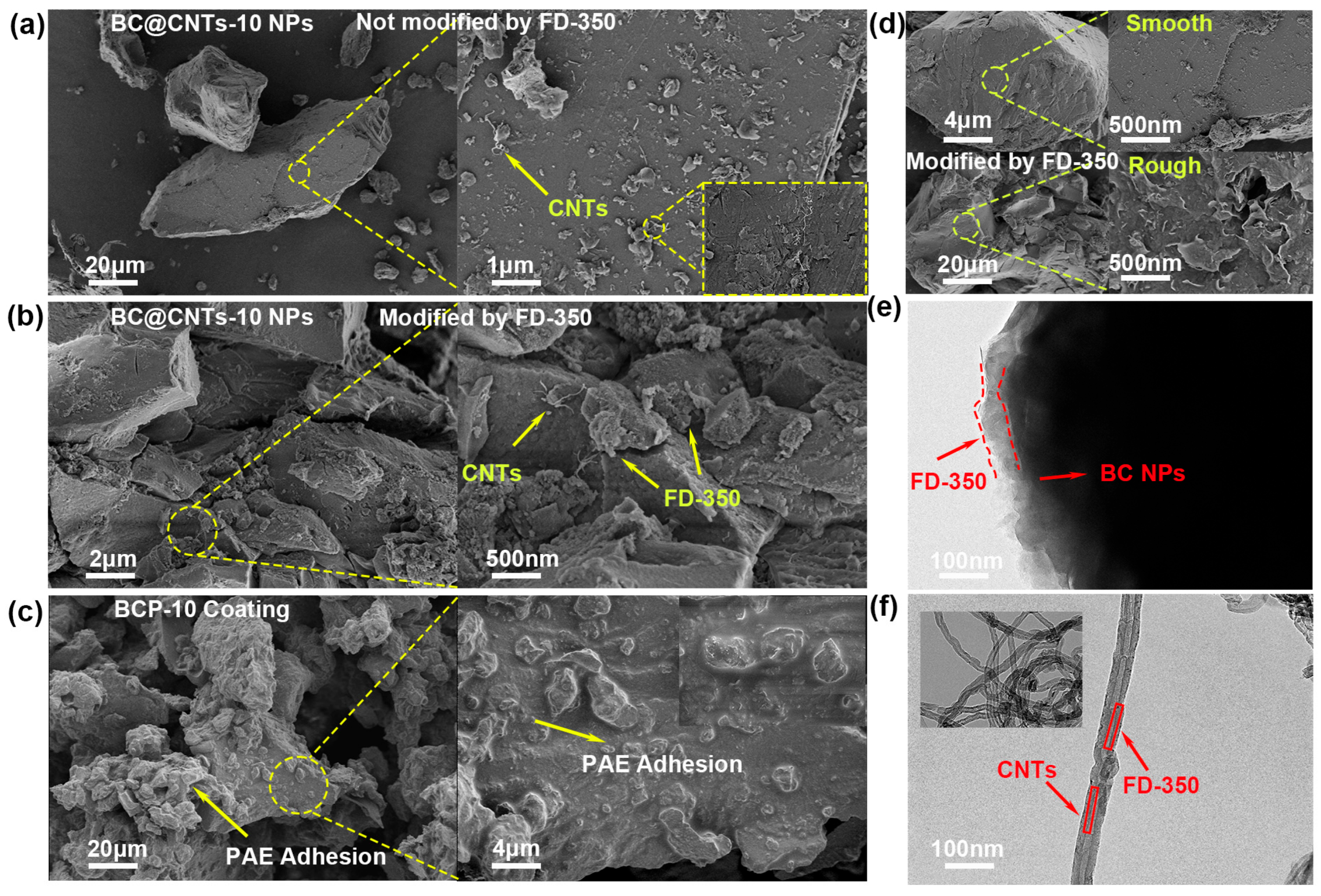 Coatings 14 00838 g003