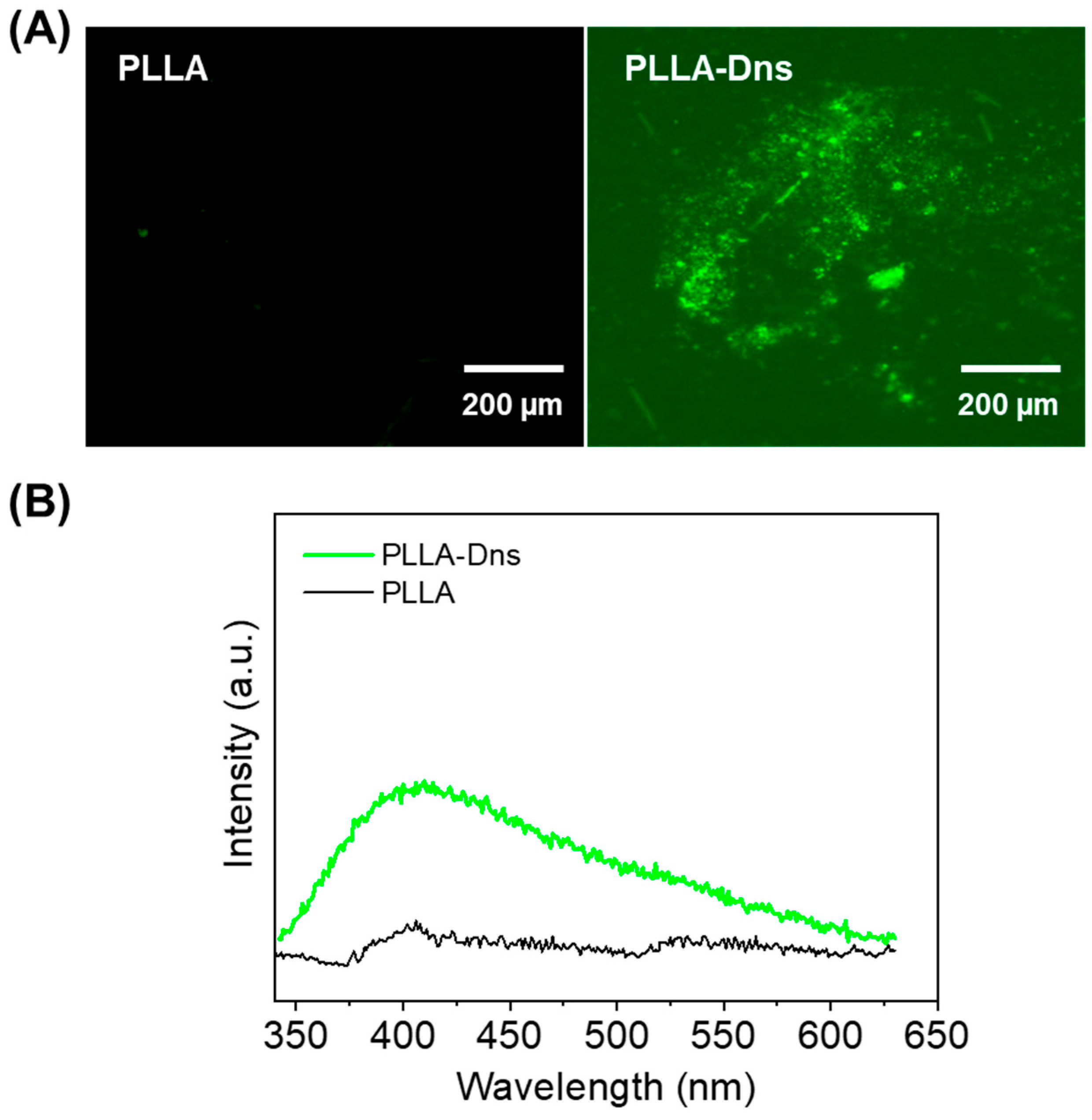 Coatings 14 00839 g002