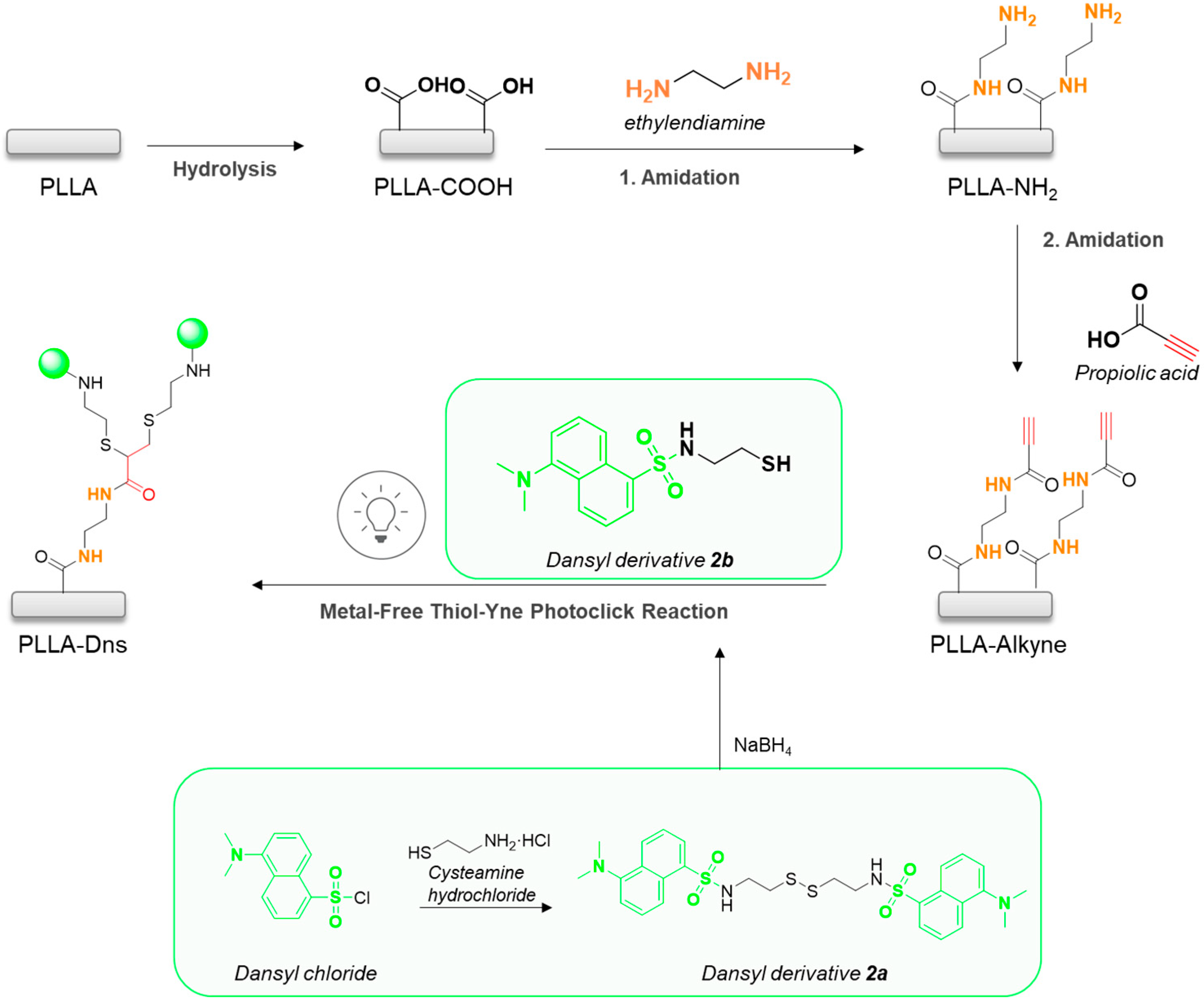 Coatings 14 00839 sch001