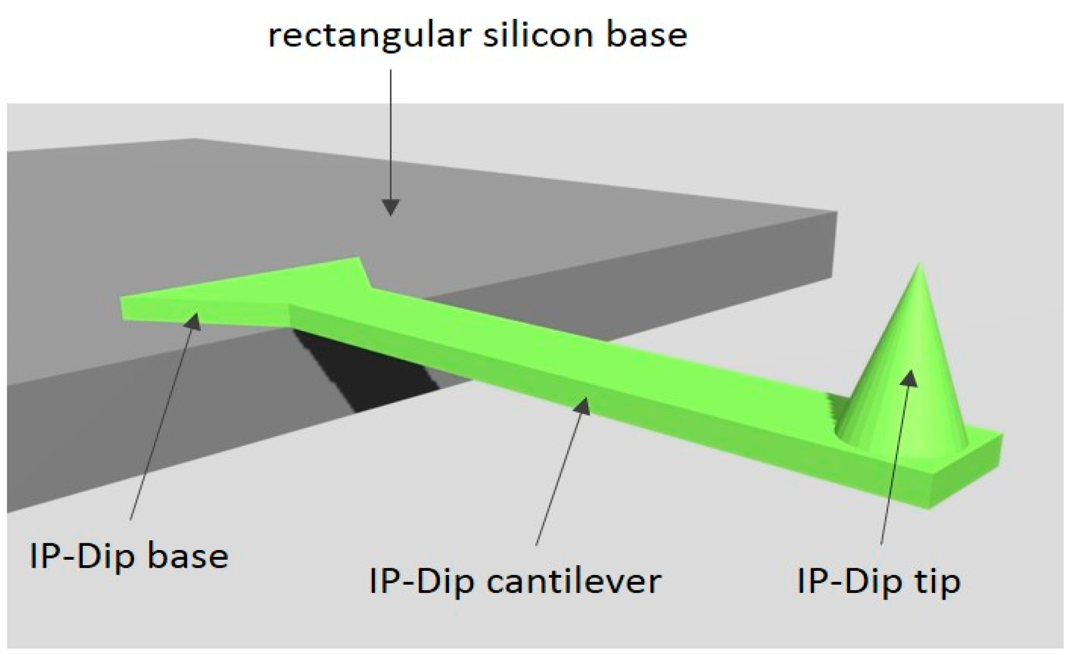 Coatings 14 00841 g004