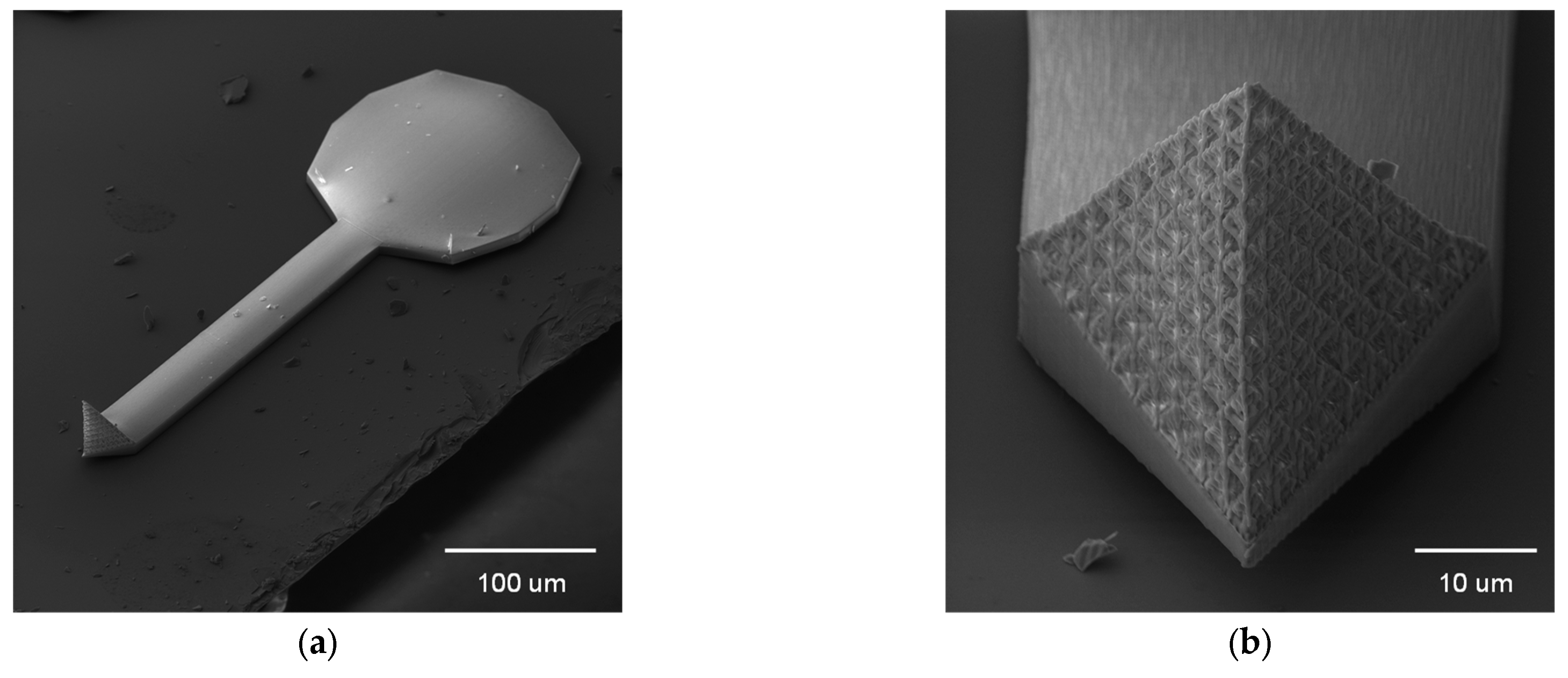 Coatings 14 00841 g006