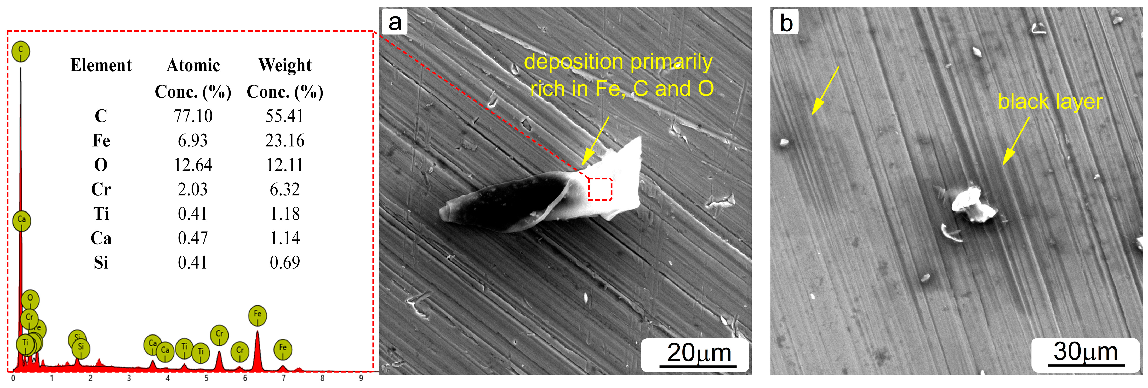 Coatings 14 00842 g007