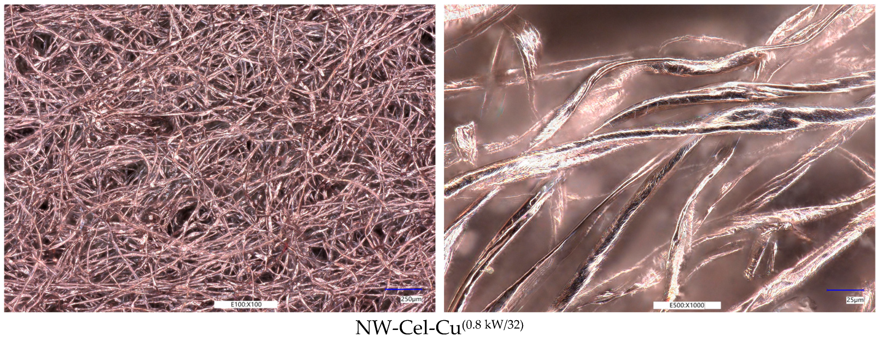 Coatings 14 00843 g002b