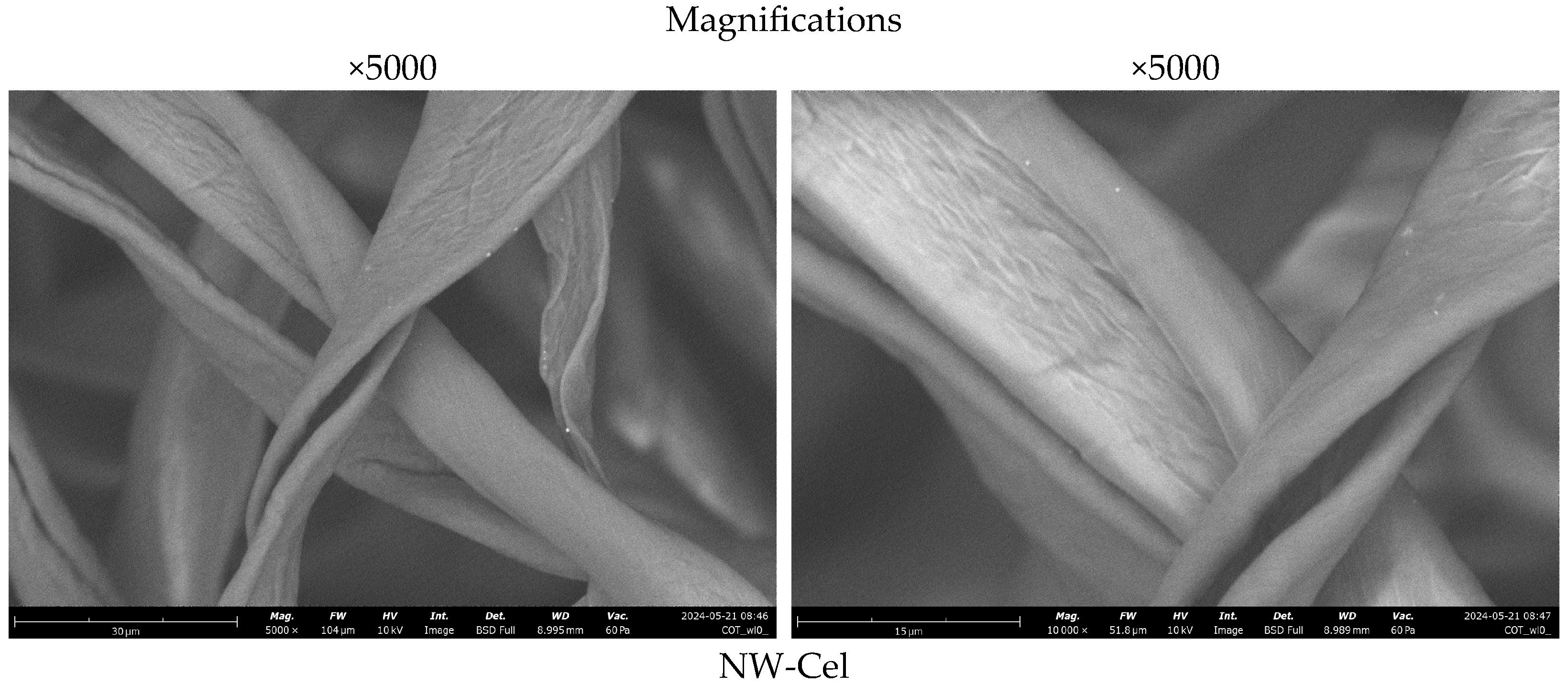Coatings 14 00843 g003a
