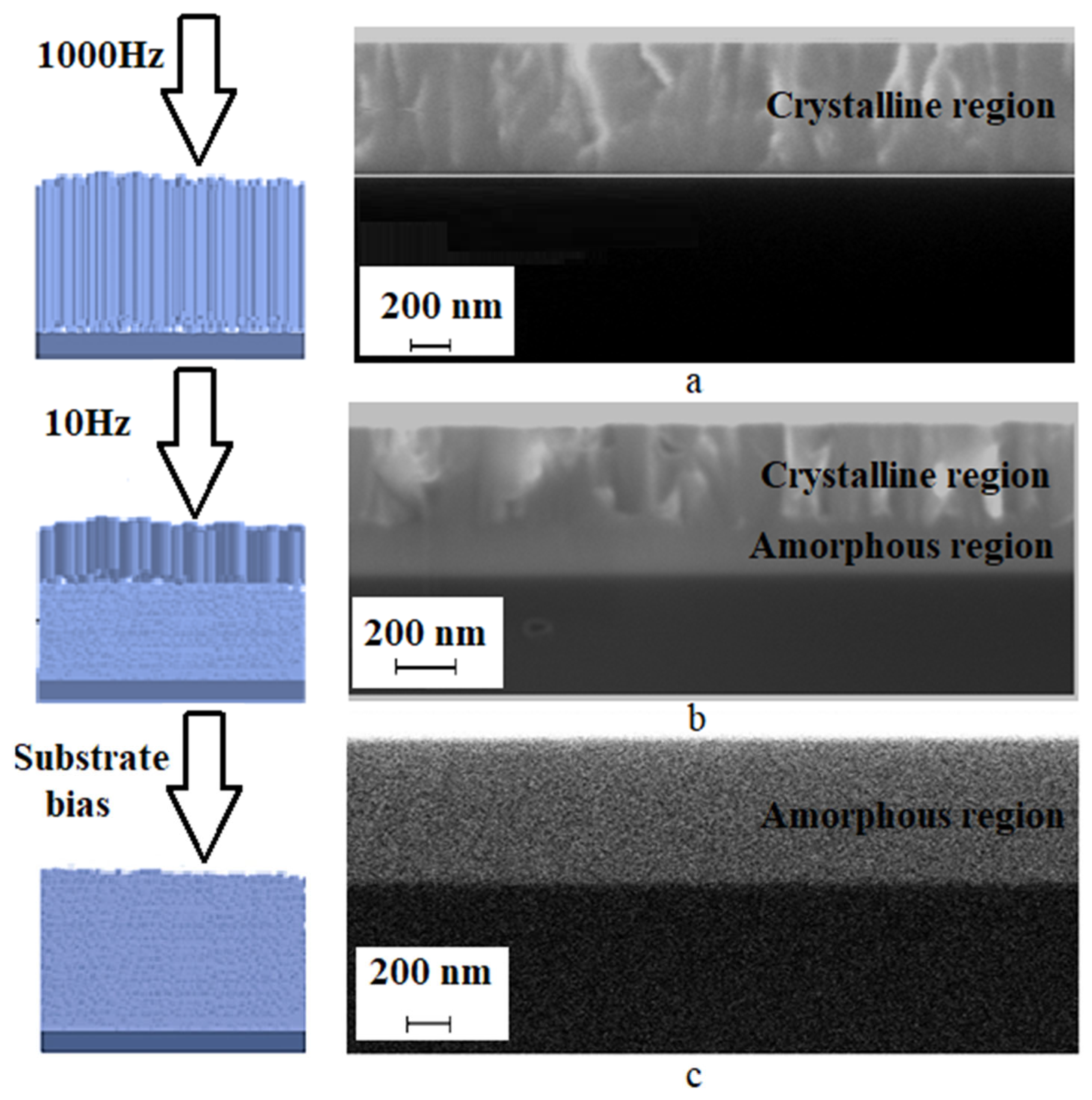 Coatings 14 00844 g006