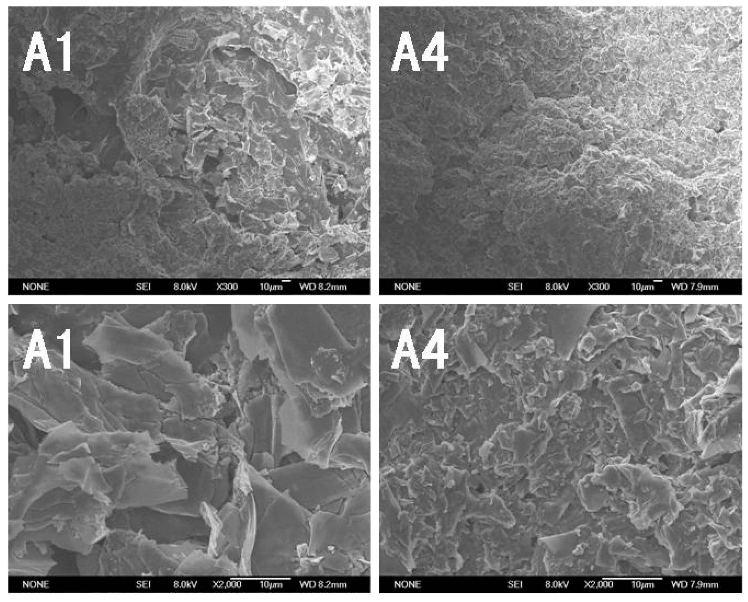 Coatings 14 00850 g012