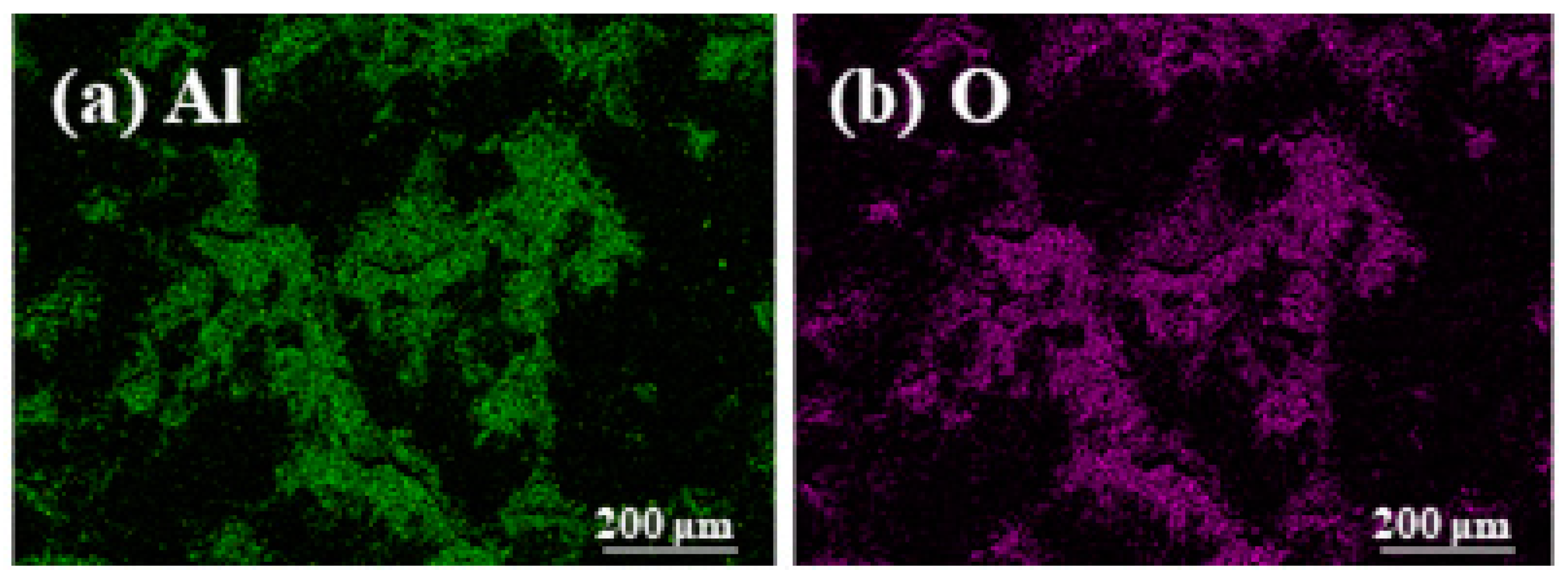 Coatings 14 00853 g007