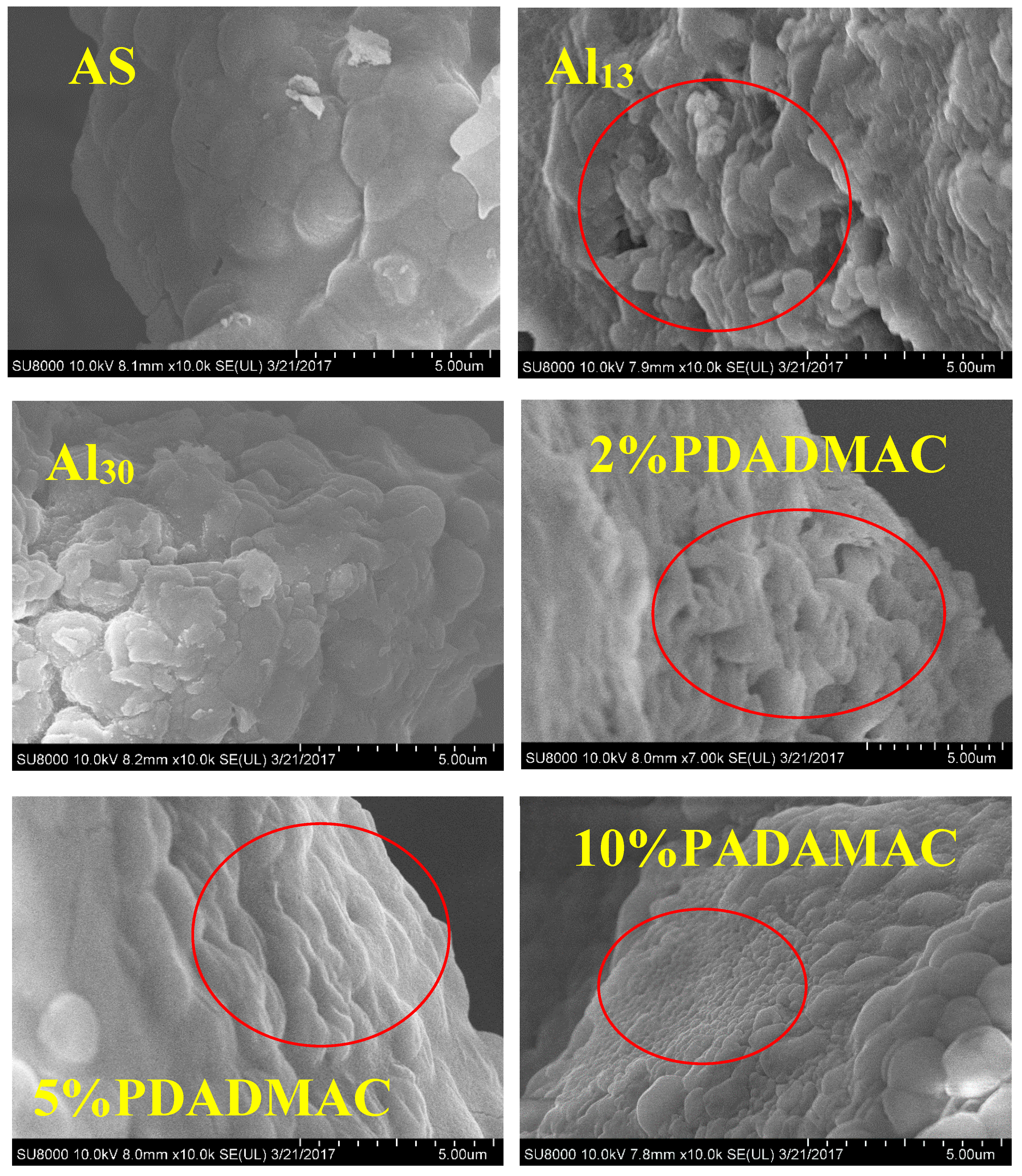 Coatings 14 00857 g006