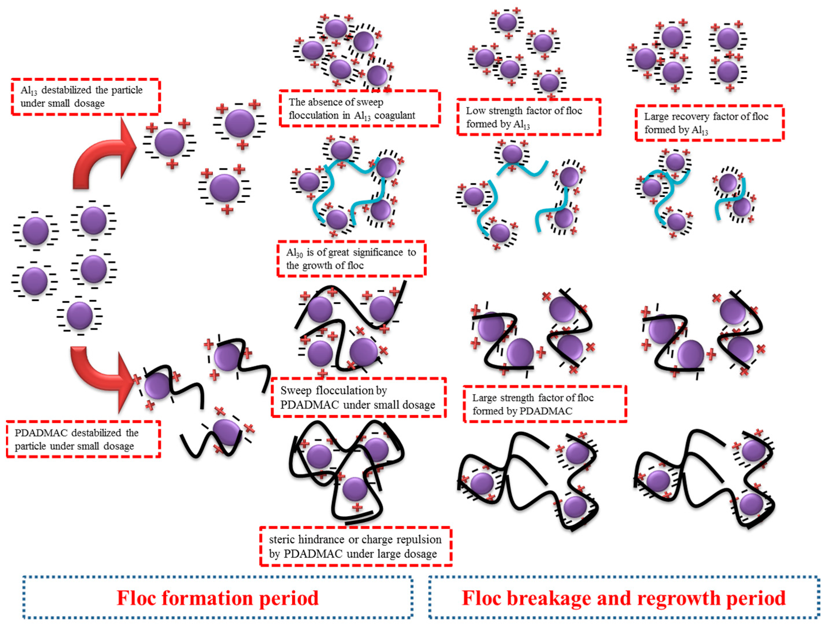 Coatings 14 00857 g007