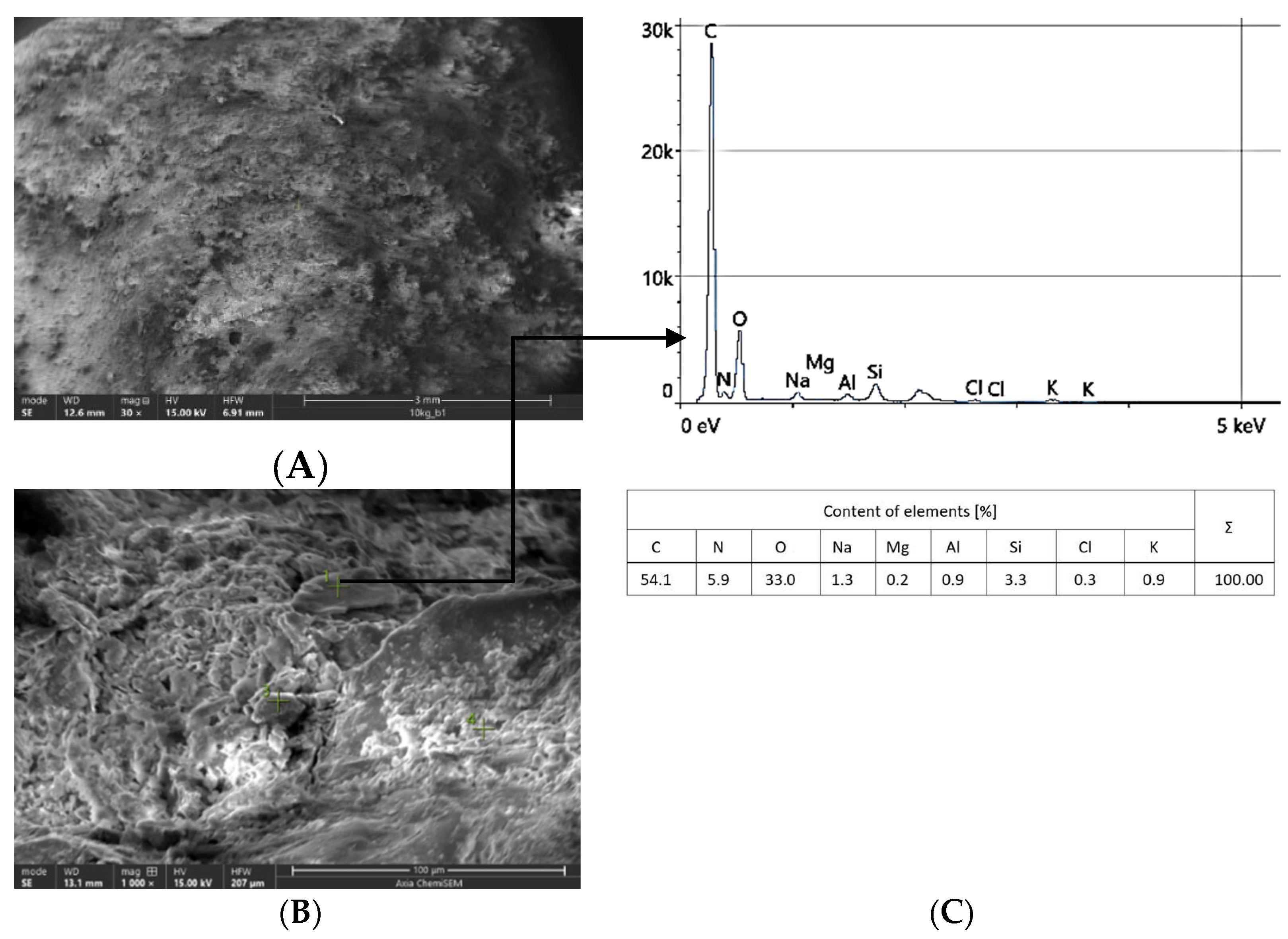 Coatings 14 00859 g008