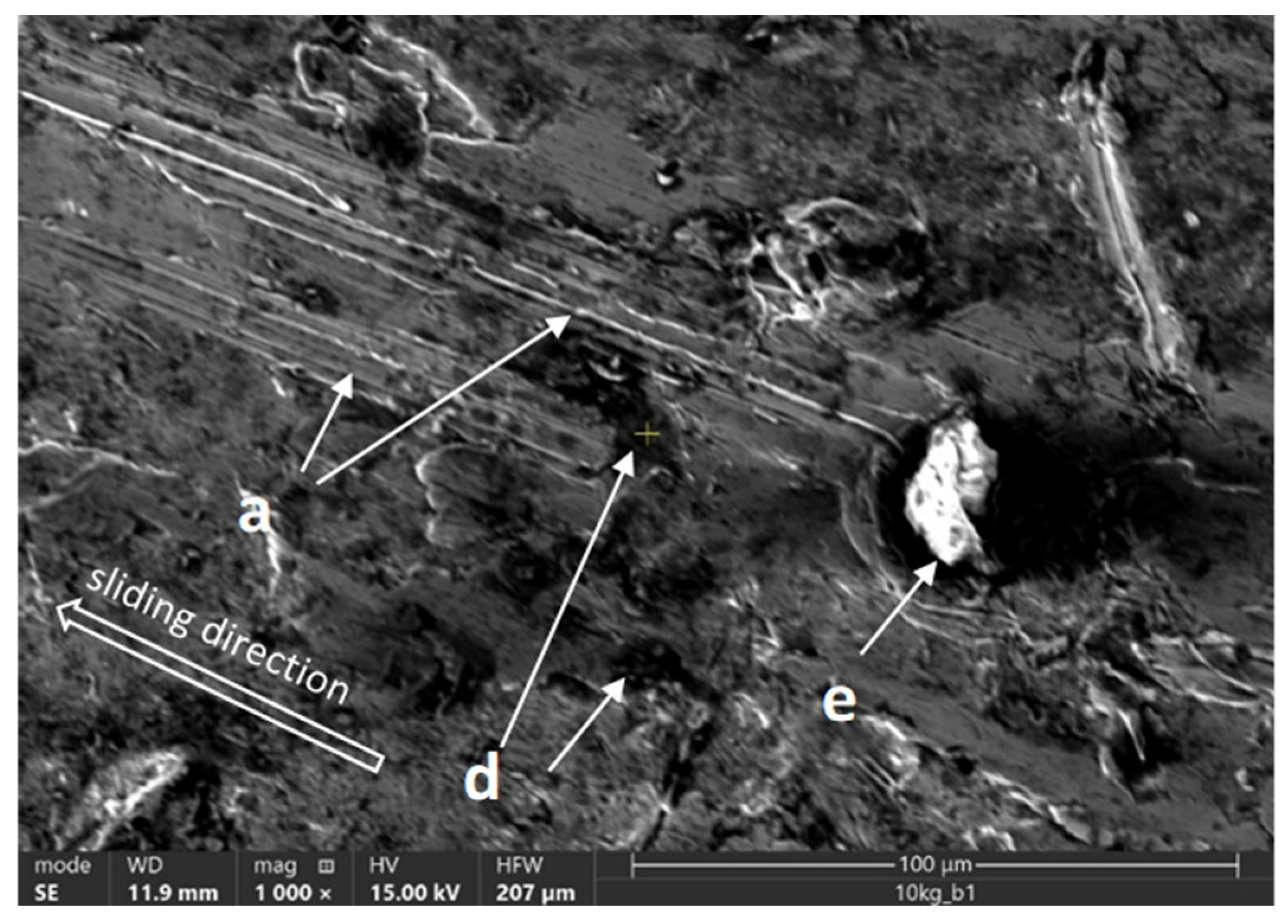 Coatings 14 00859 g021