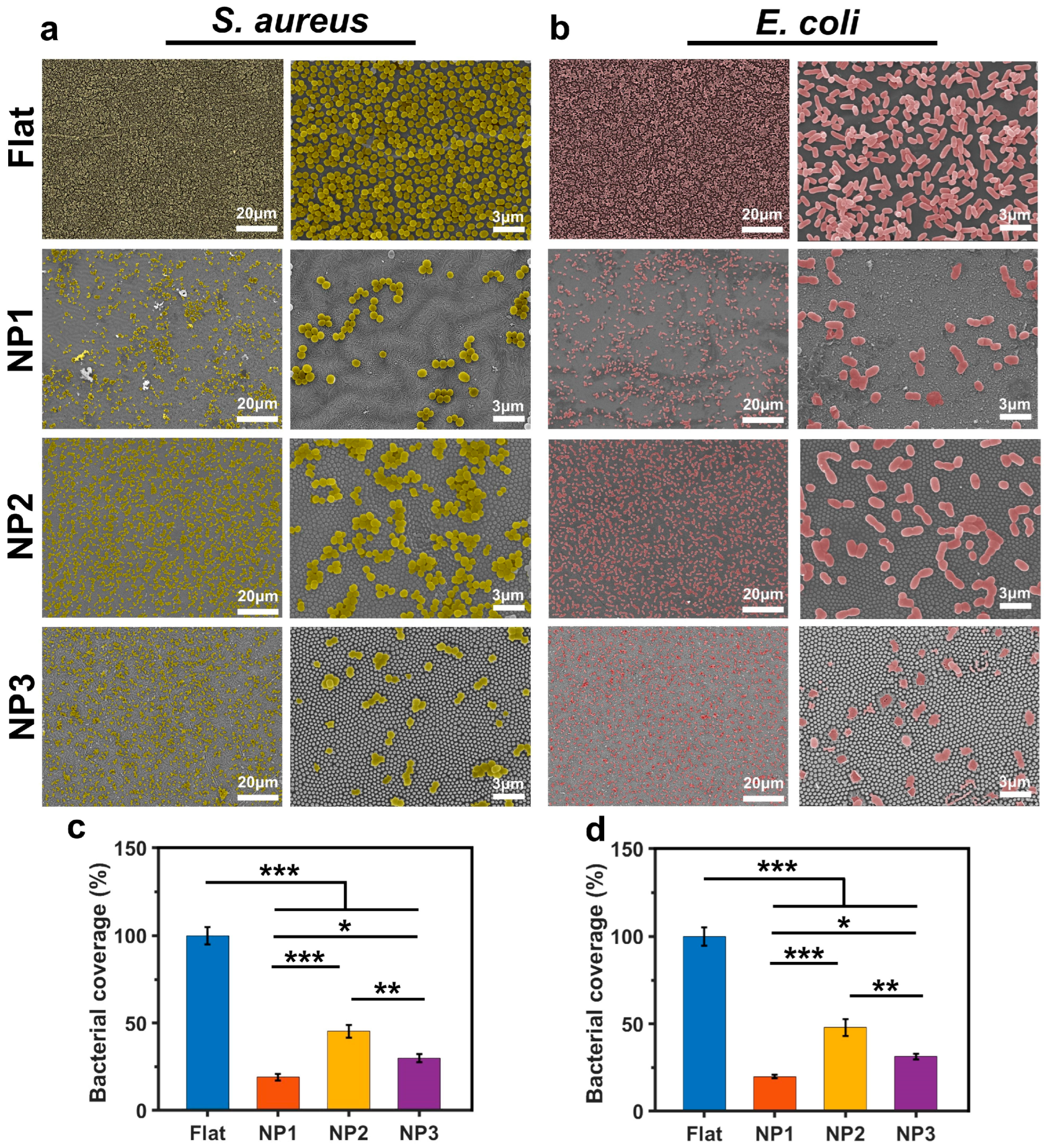 Coatings 14 00860 g002 Coatings 14 00860 g002