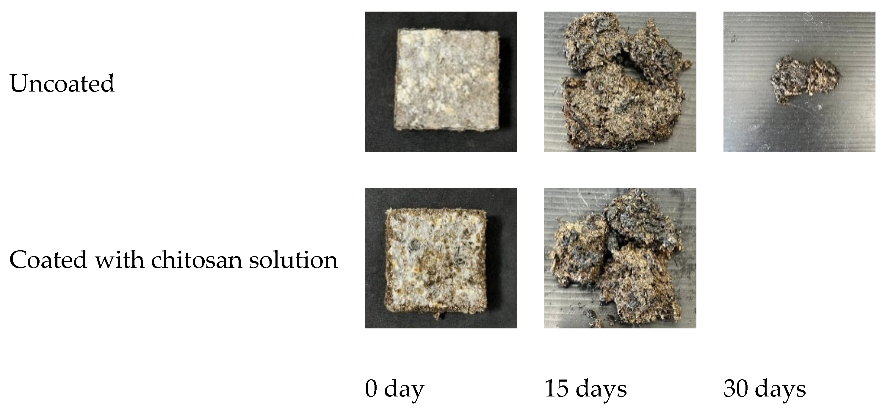 Coatings 14 00862 g007