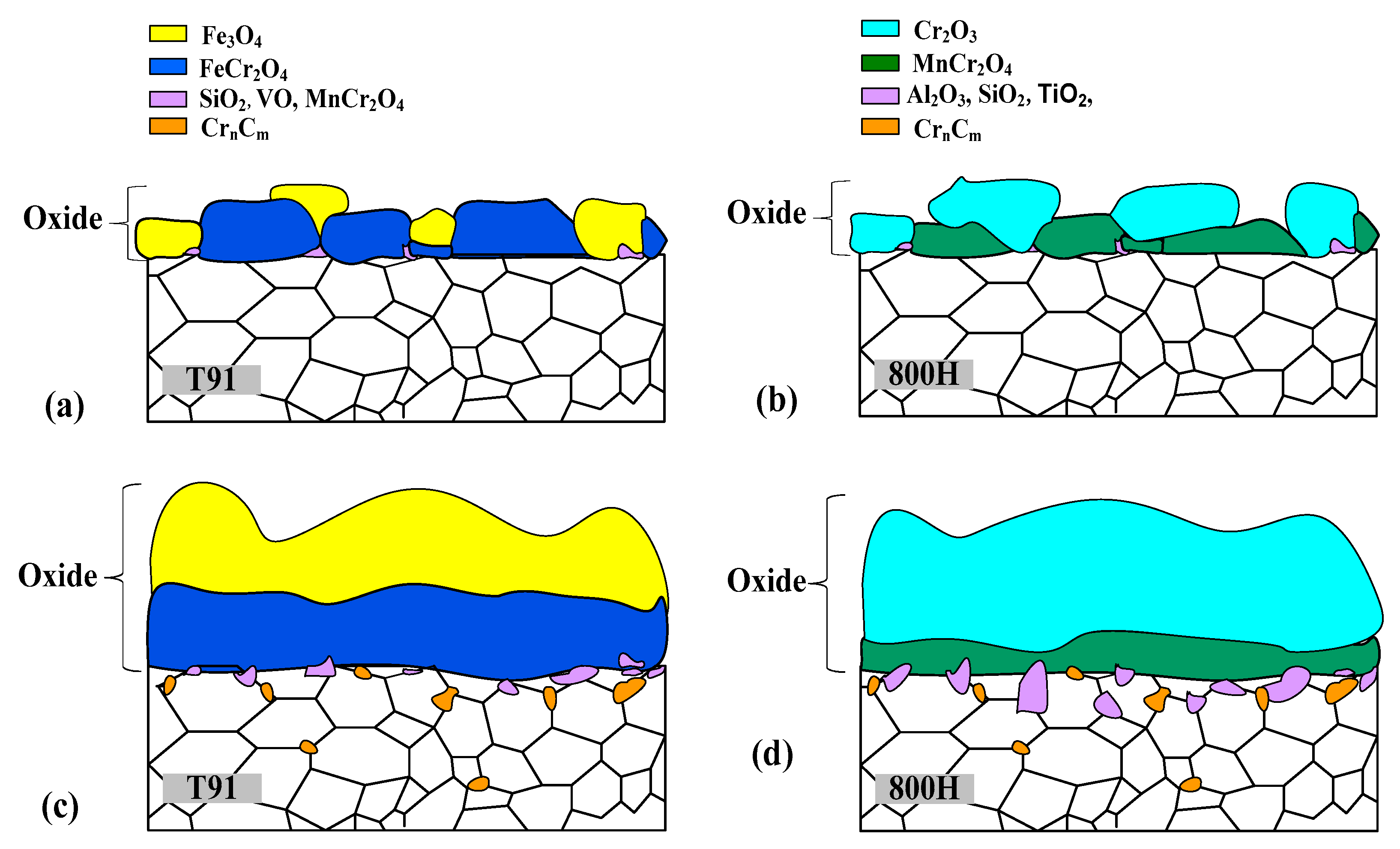 Coatings 14 00869 g011