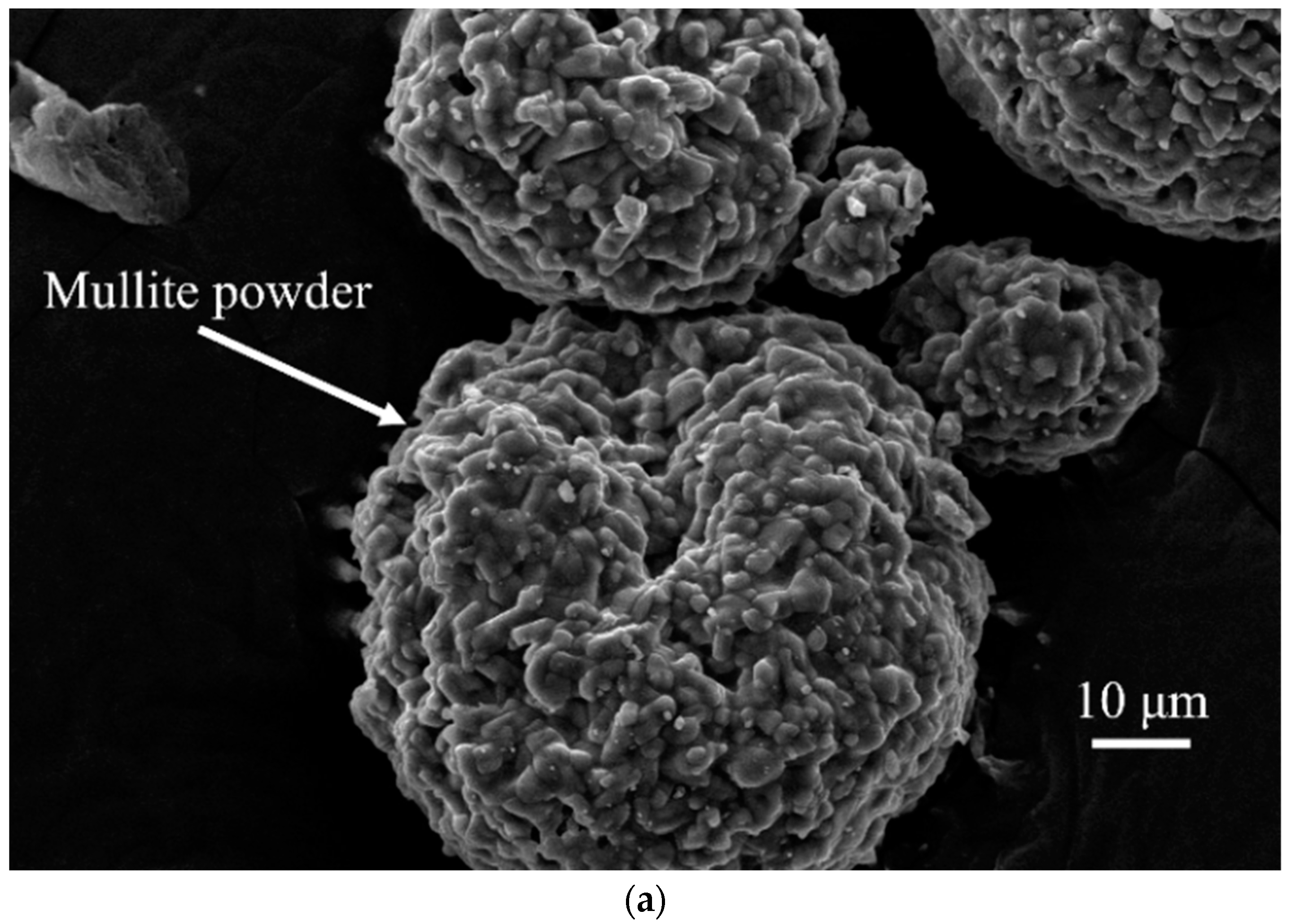 Coatings 14 00885 g001a