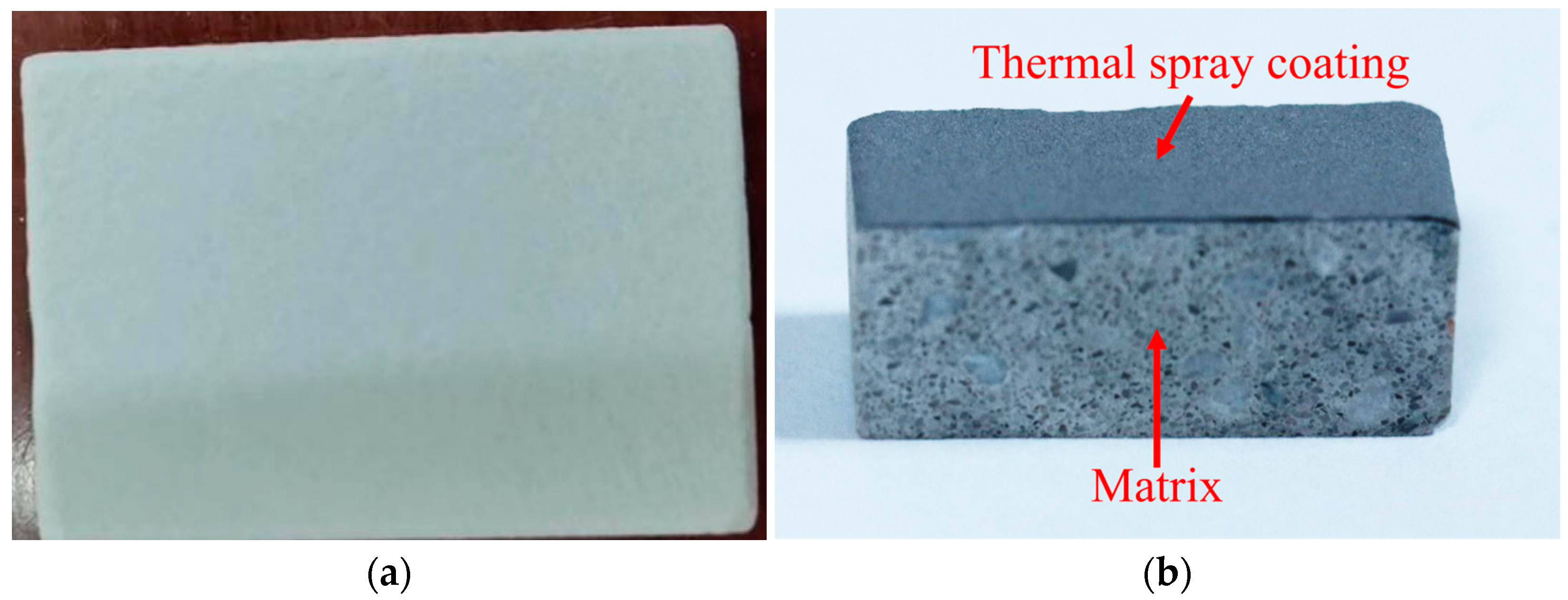 Coatings 14 00885 g006