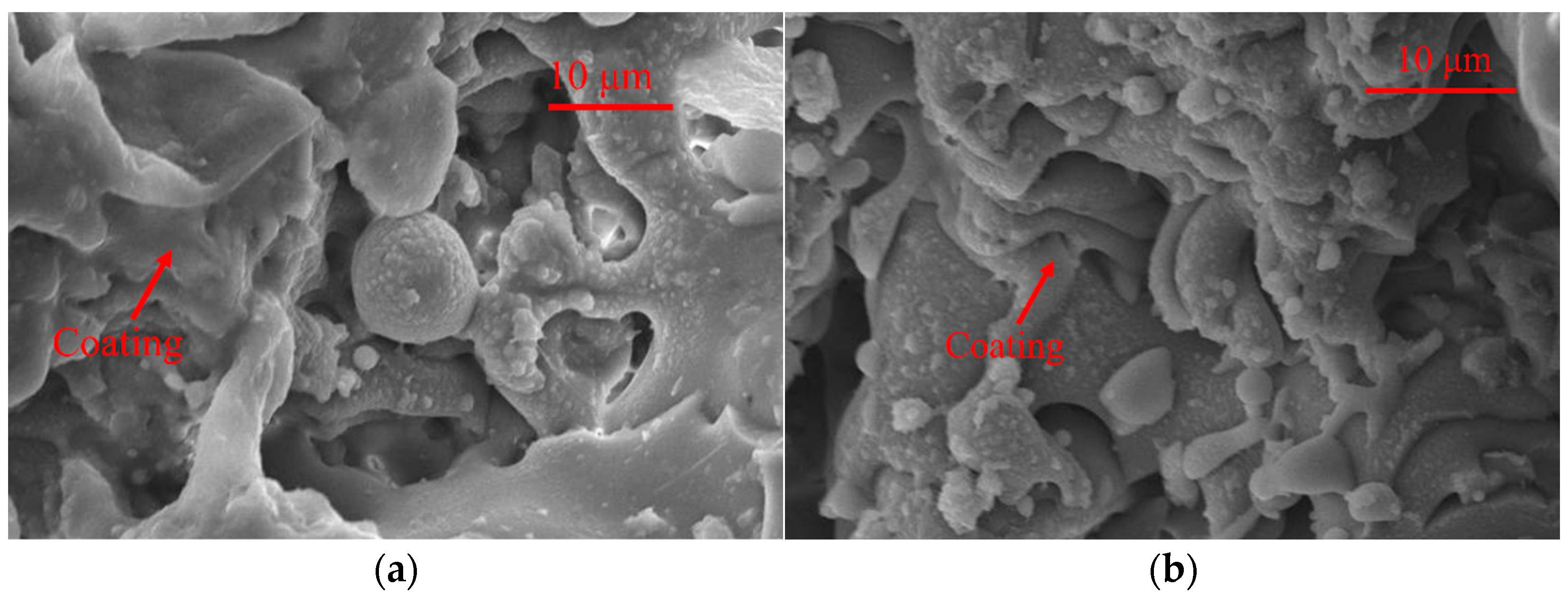 Coatings 14 00885 g007