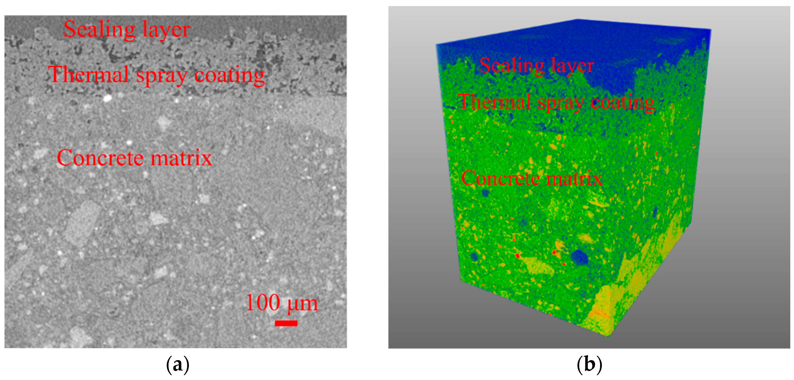 Coatings 14 00885 g011
