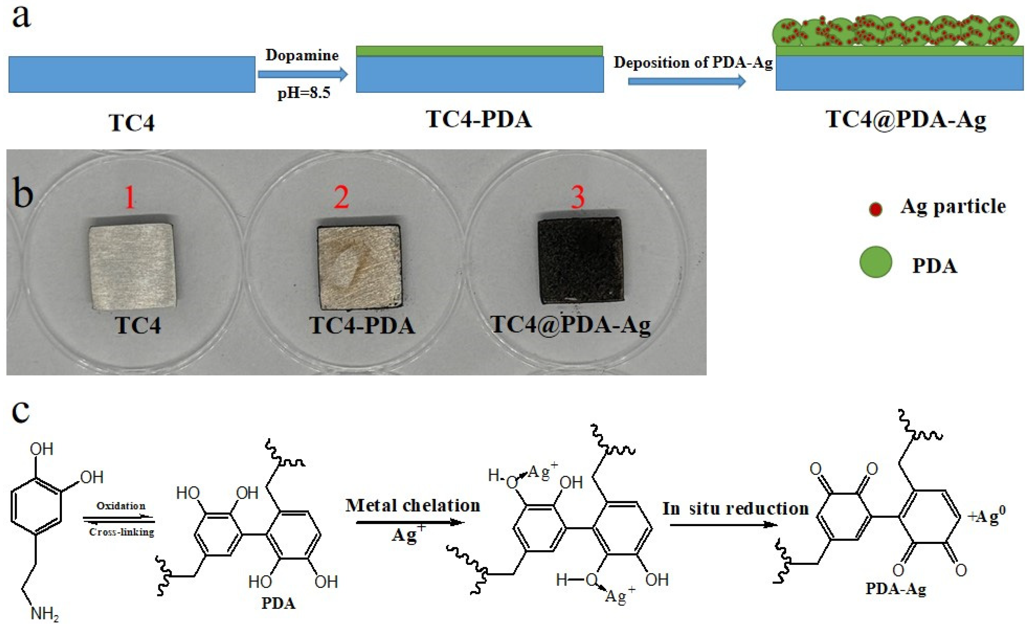Coatings 14 00887 g001