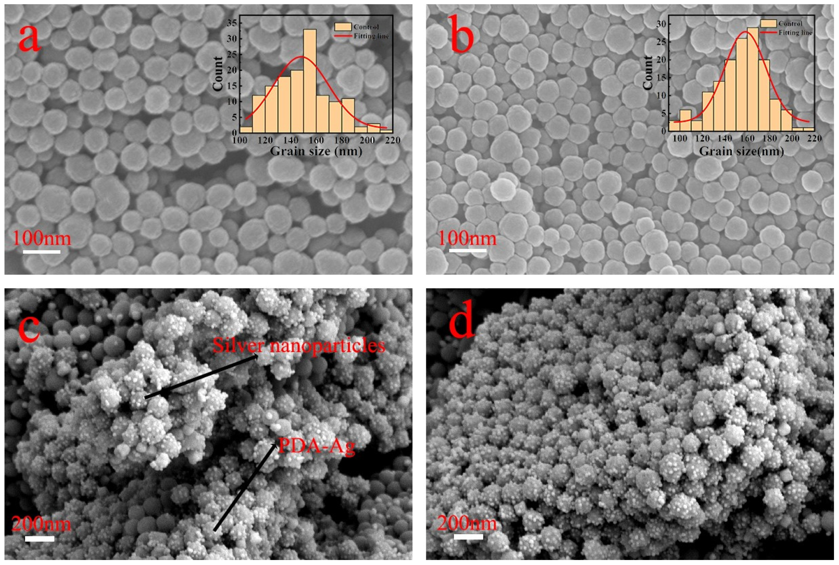 Coatings 14 00887 g002