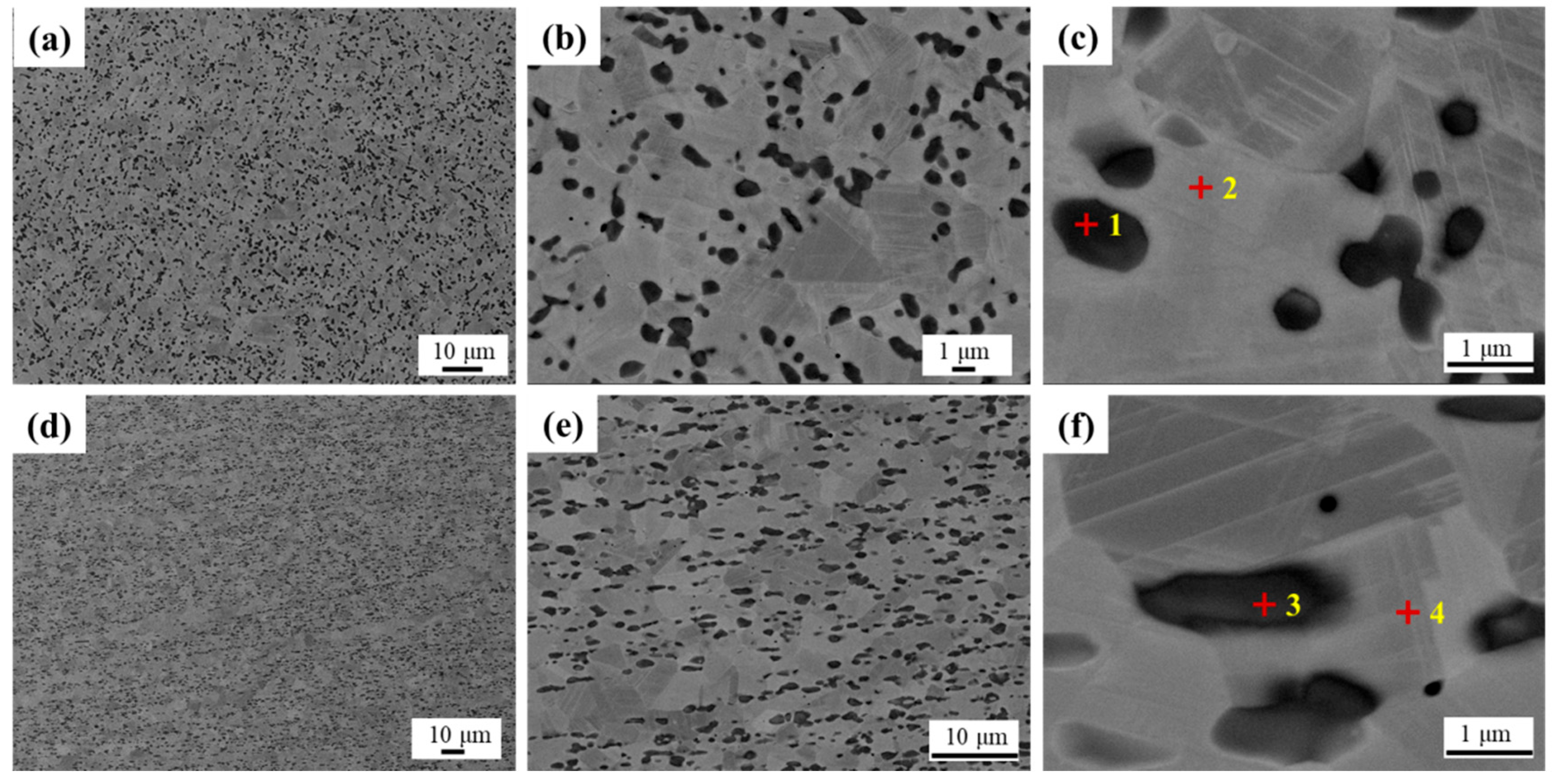 Coatings 14 00892 g004