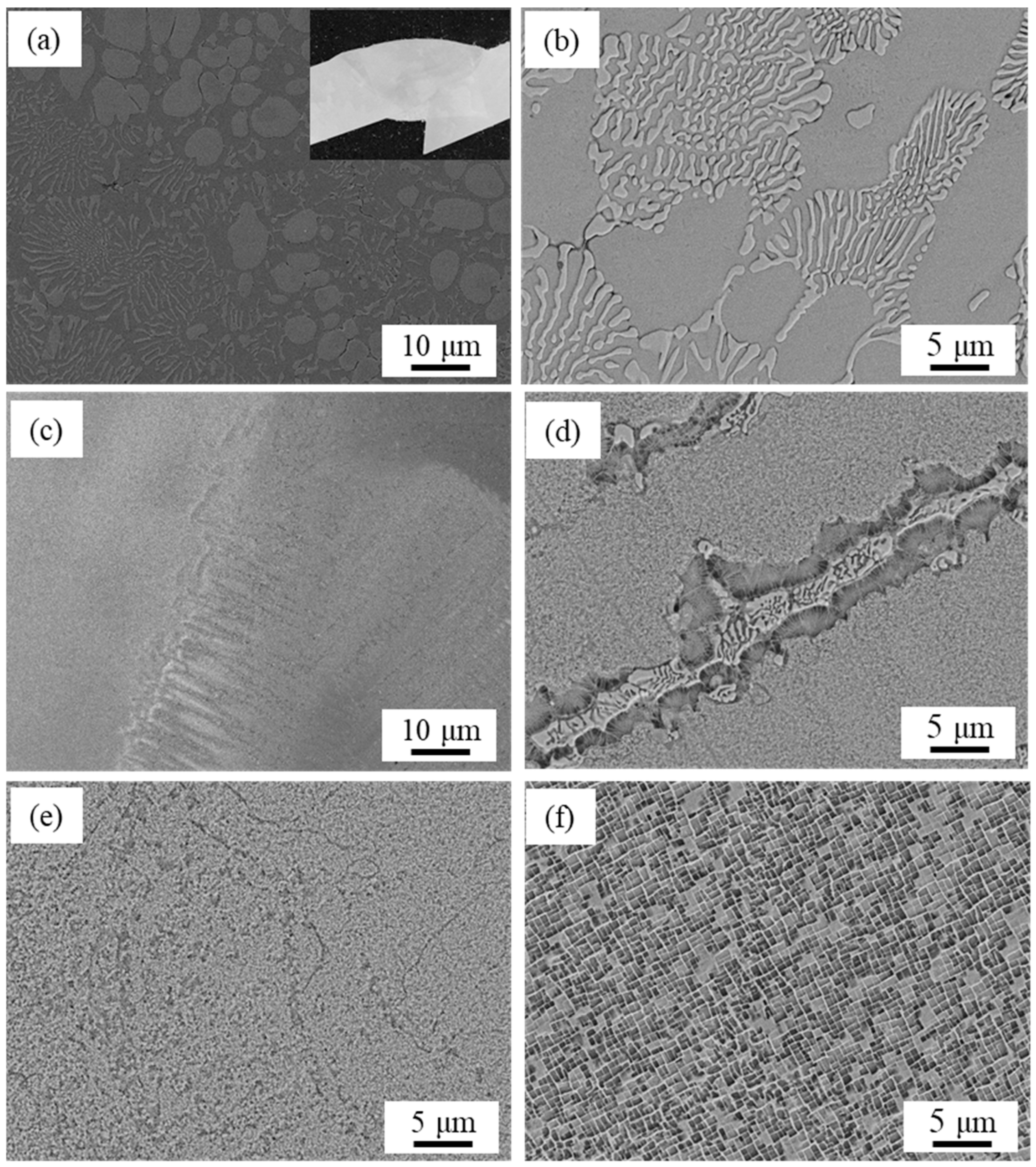 Coatings 14 00892 g007