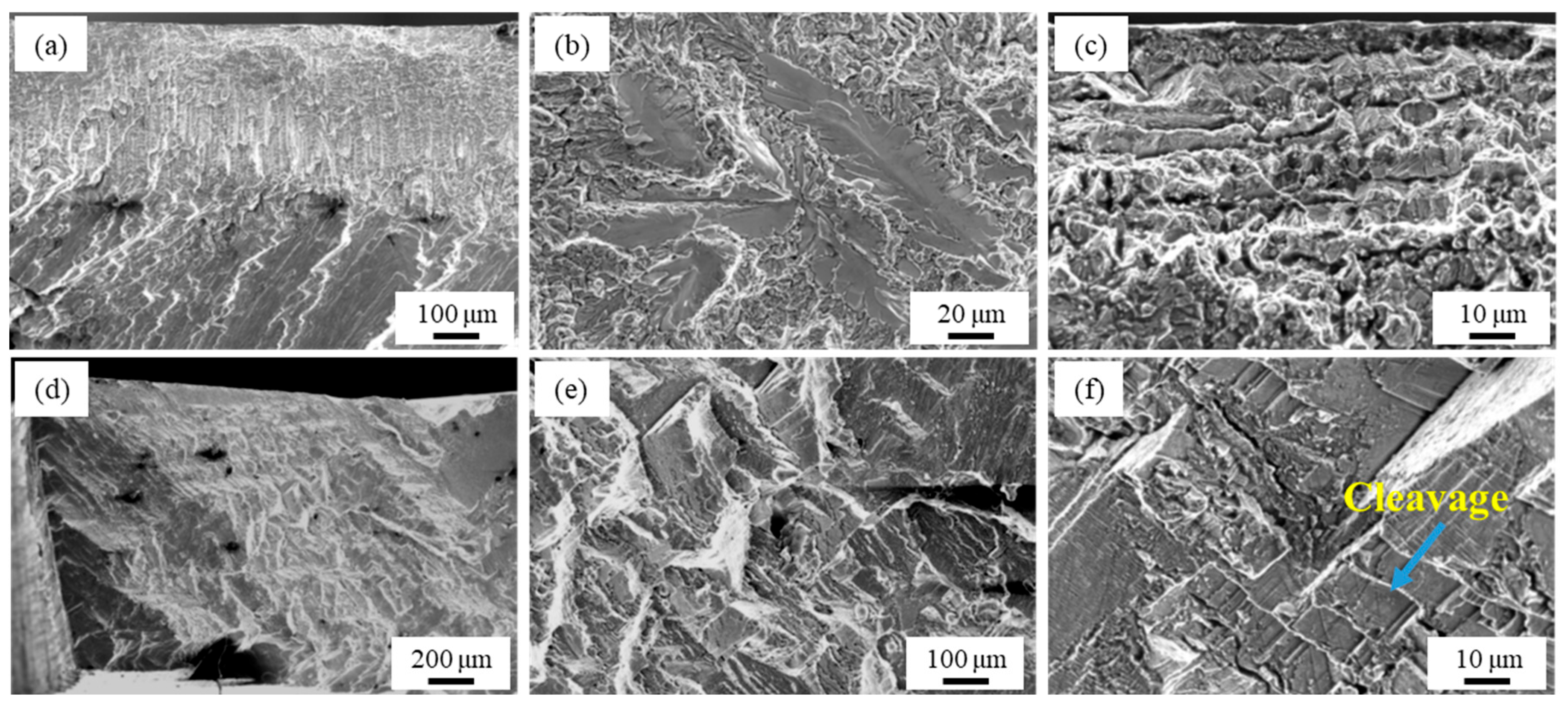 Coatings 14 00892 g010