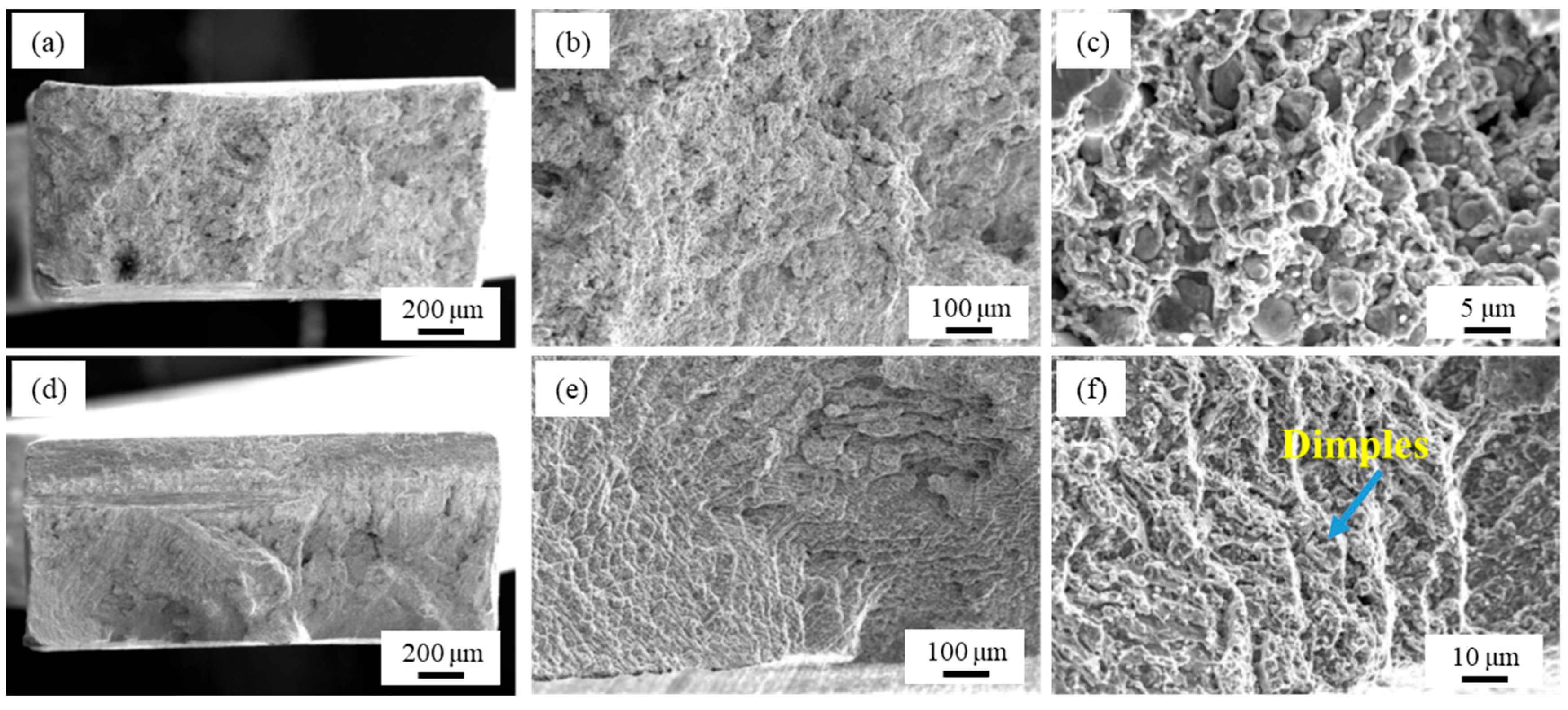 Coatings 14 00892 g011