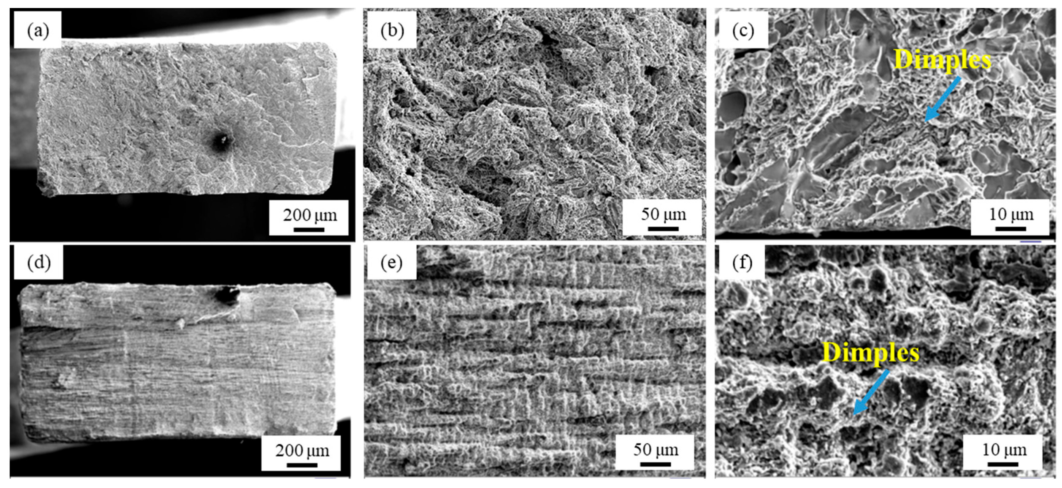 Coatings 14 00892 g014