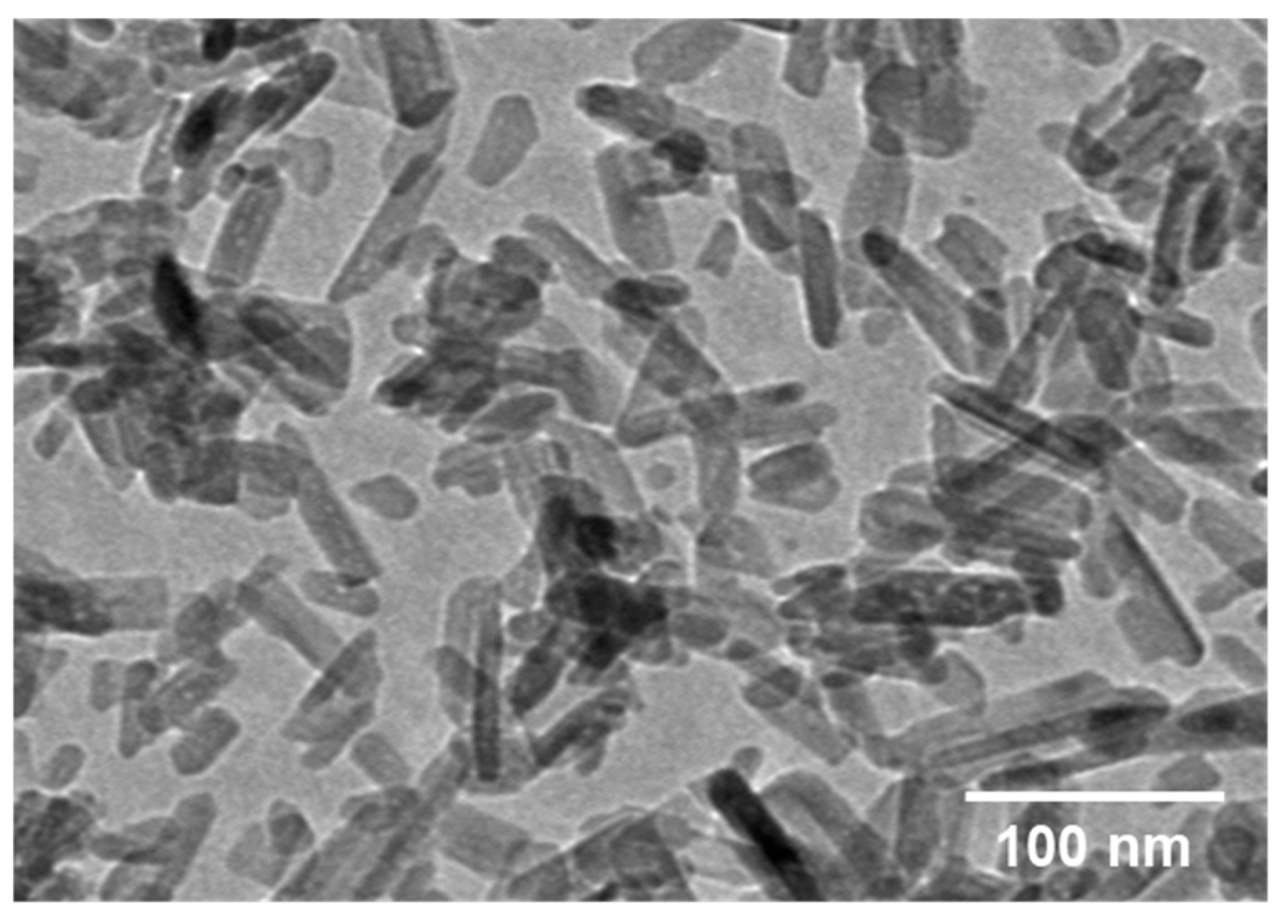 Coatings 14 00893 g002