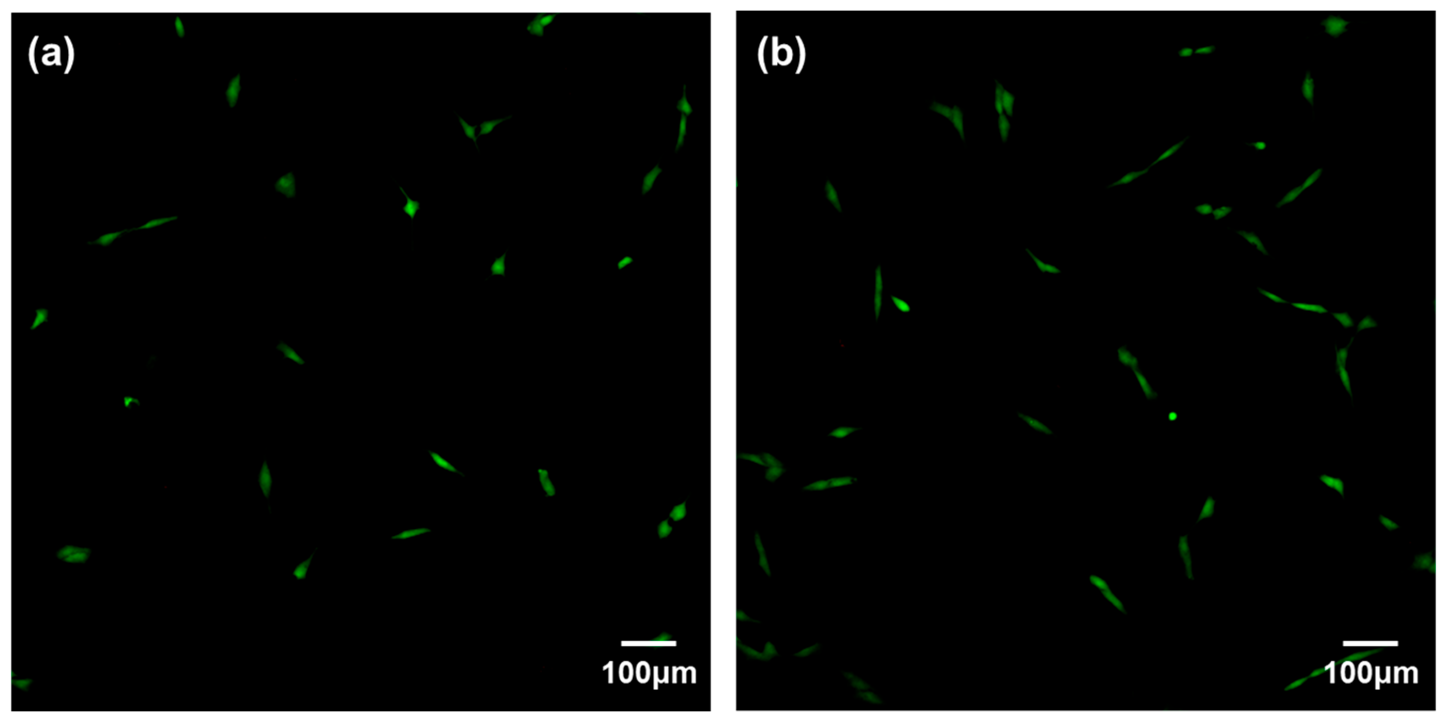 Coatings 14 00893 g009