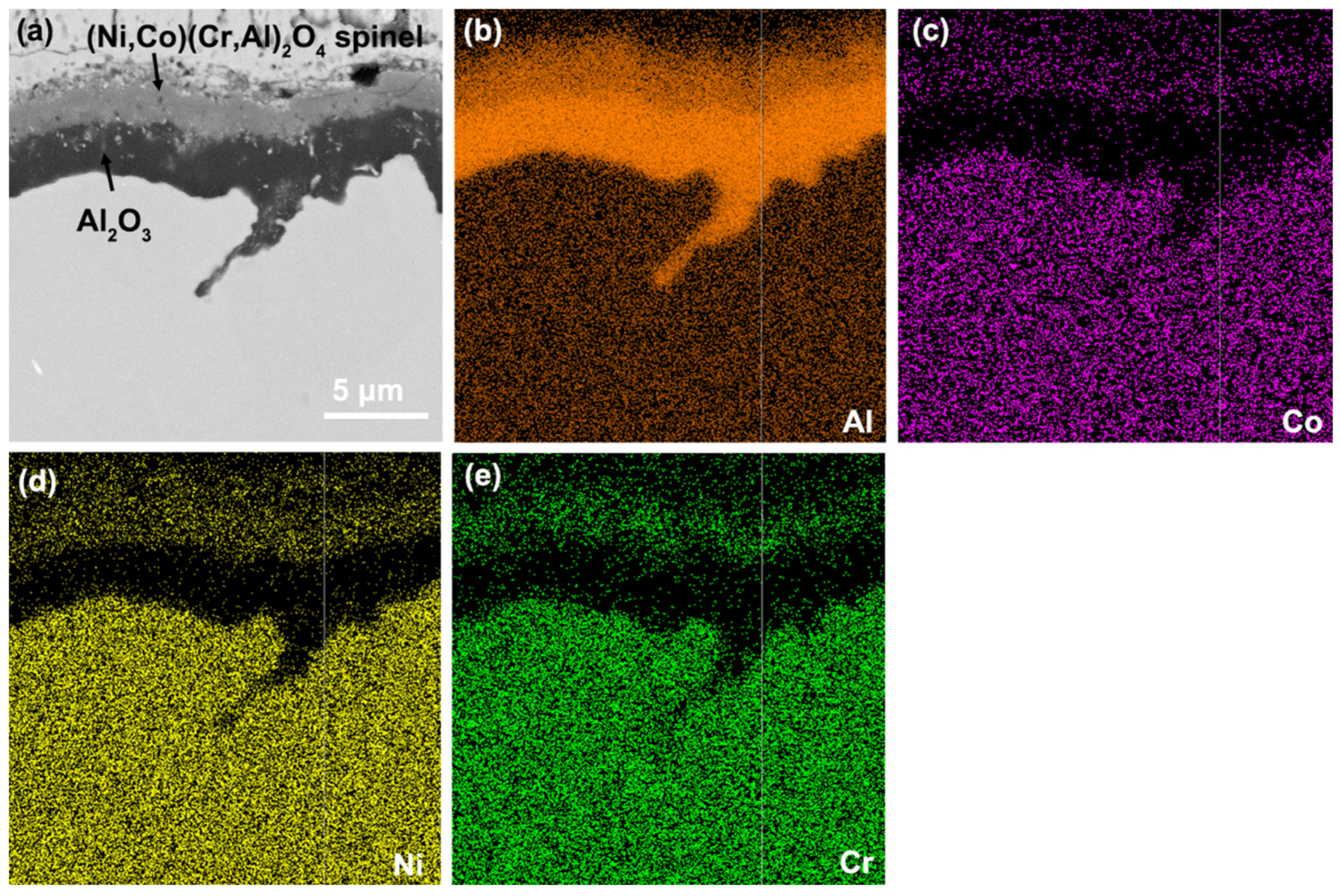 Coatings 14 00902 g004
