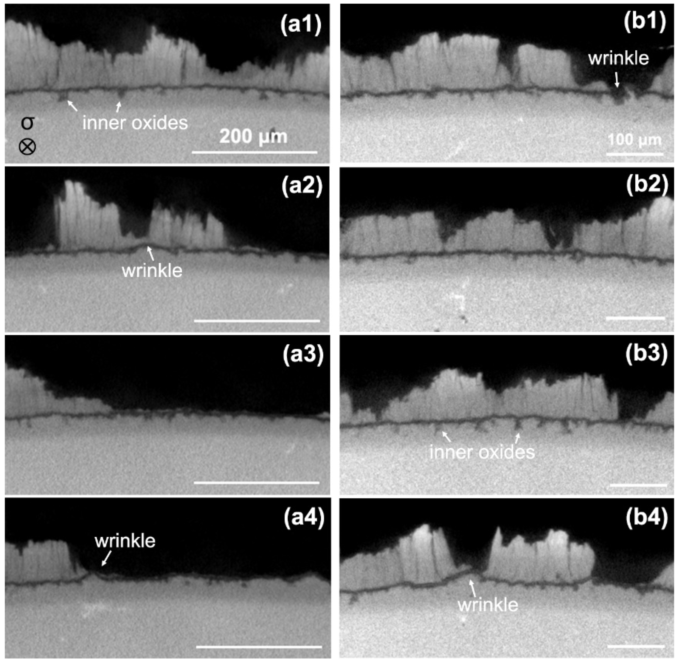 Coatings 14 00902 g008