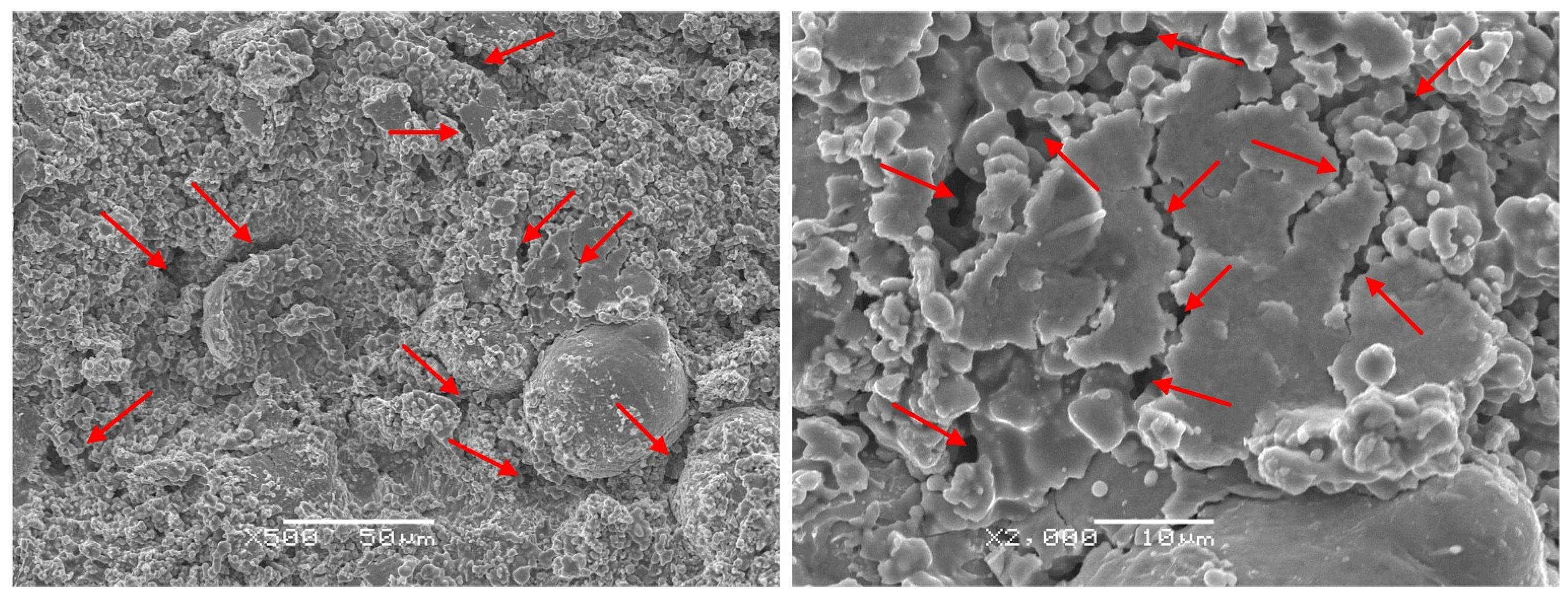 Coatings 14 00907 g007