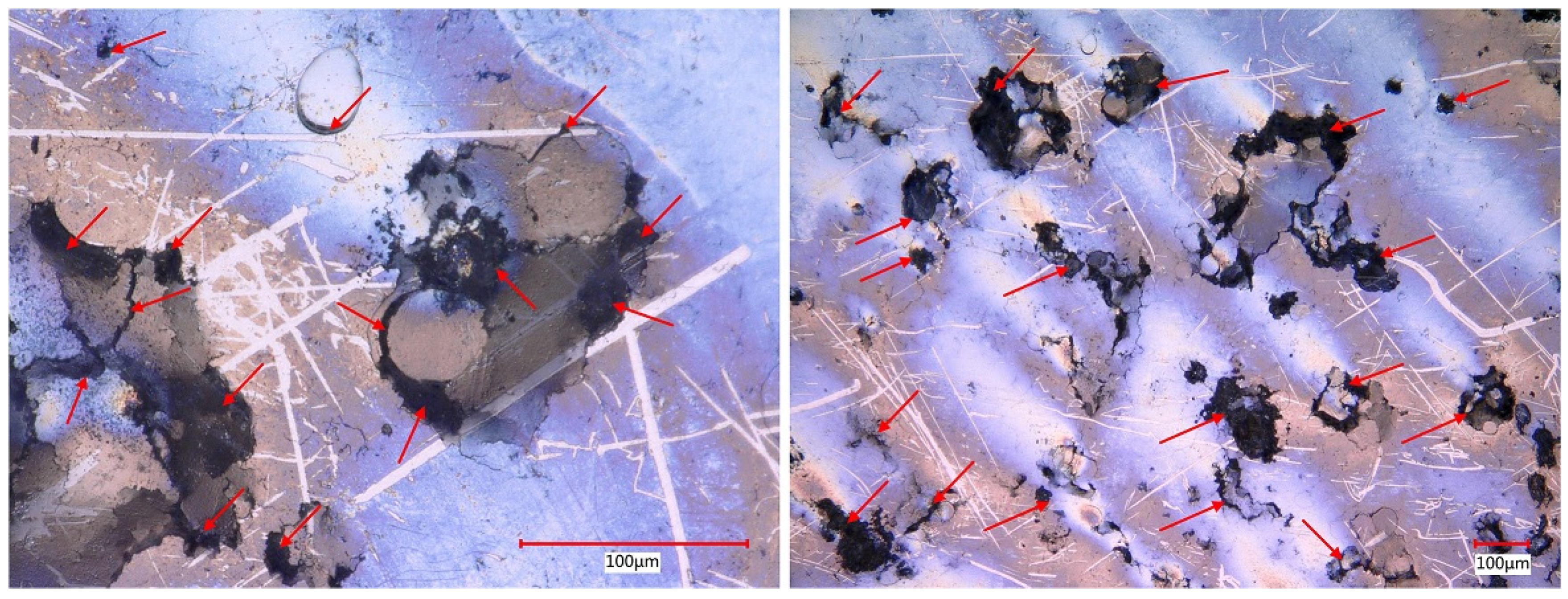 Coatings 14 00907 g009