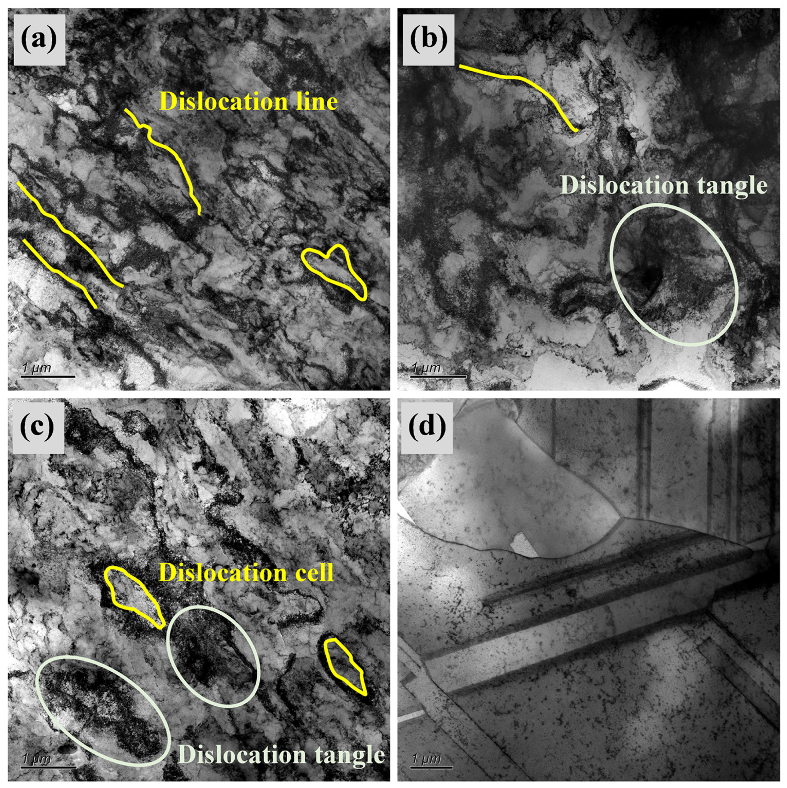 Coatings 14 00909 g004