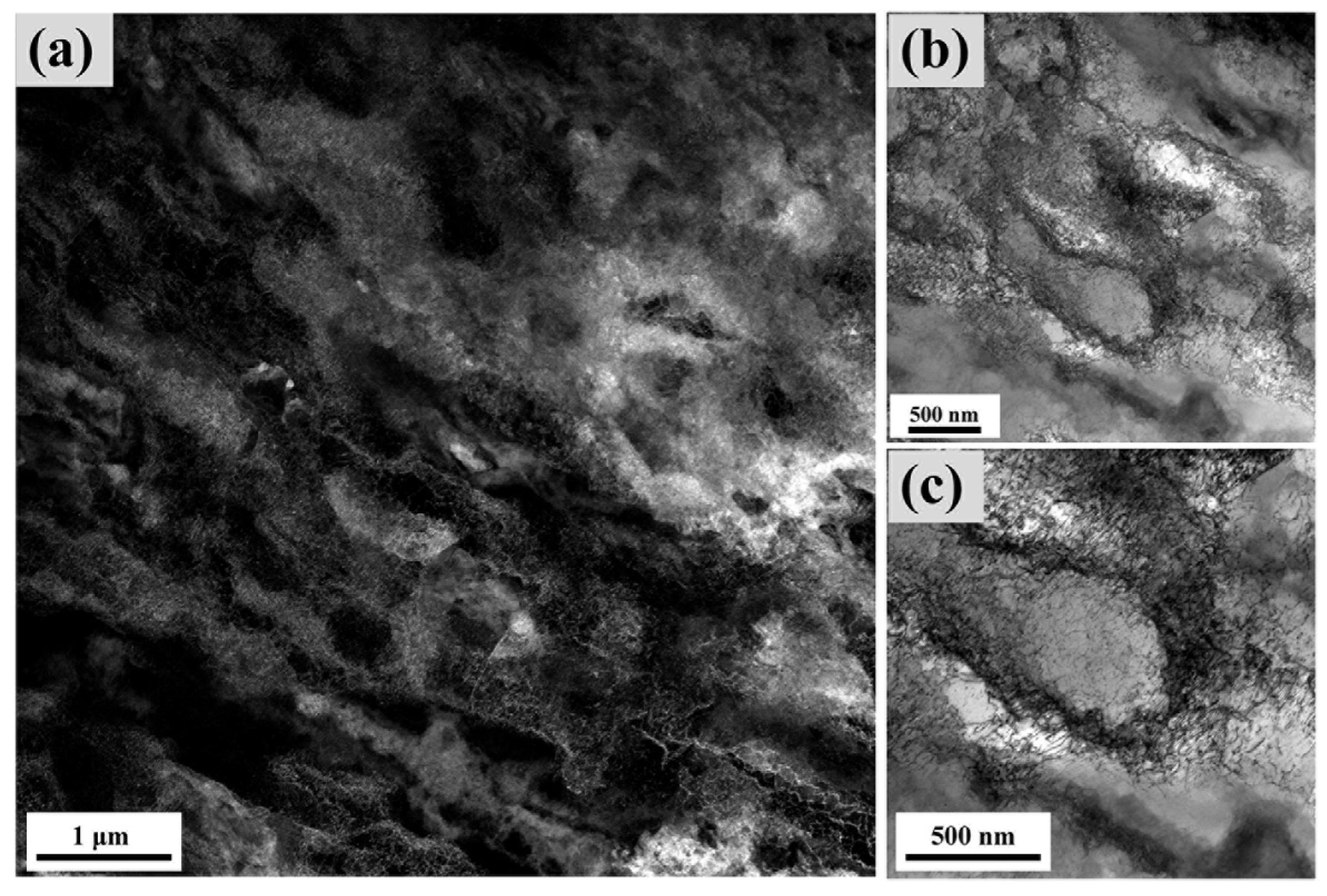 Coatings 14 00909 g006