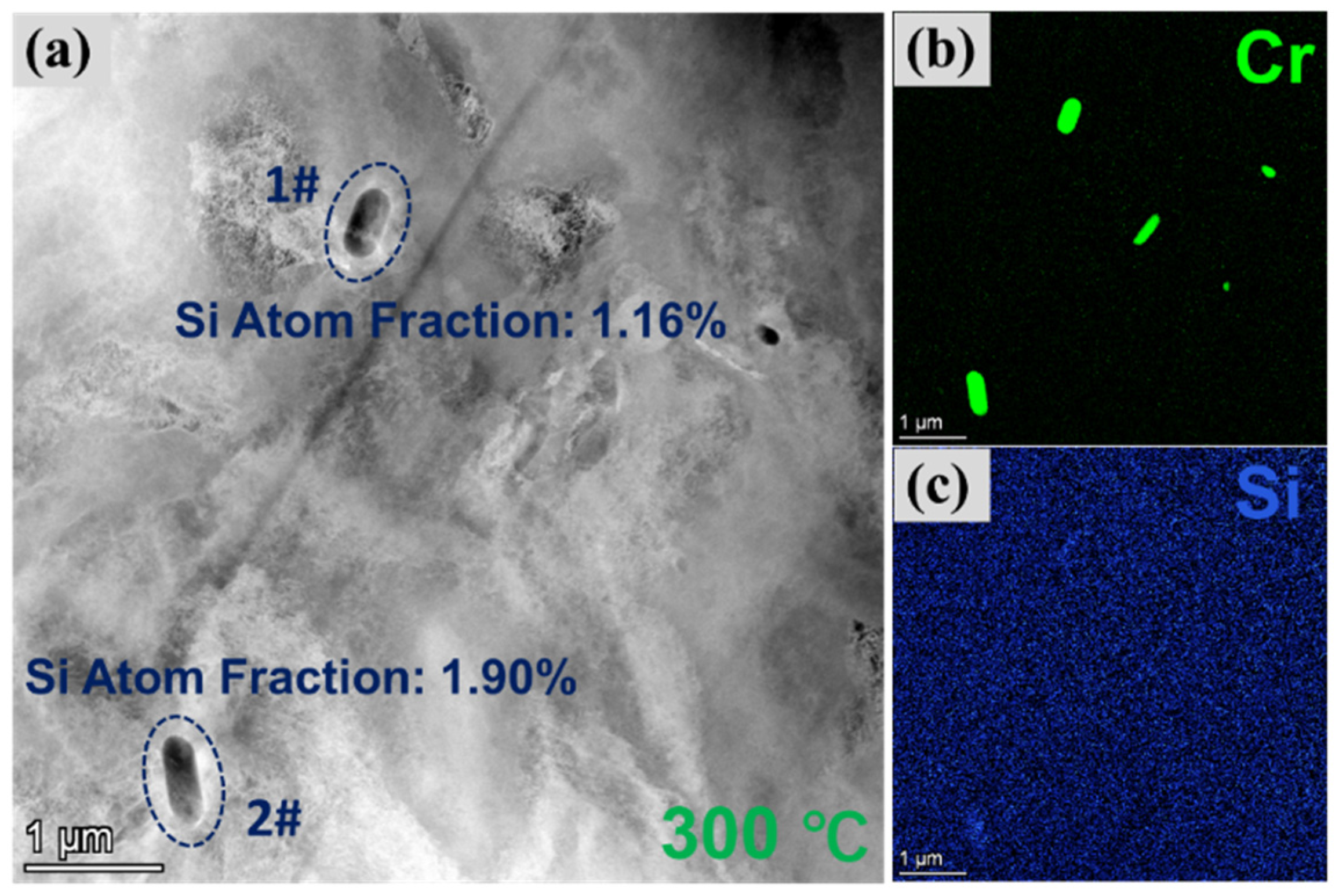 Coatings 14 00909 g007