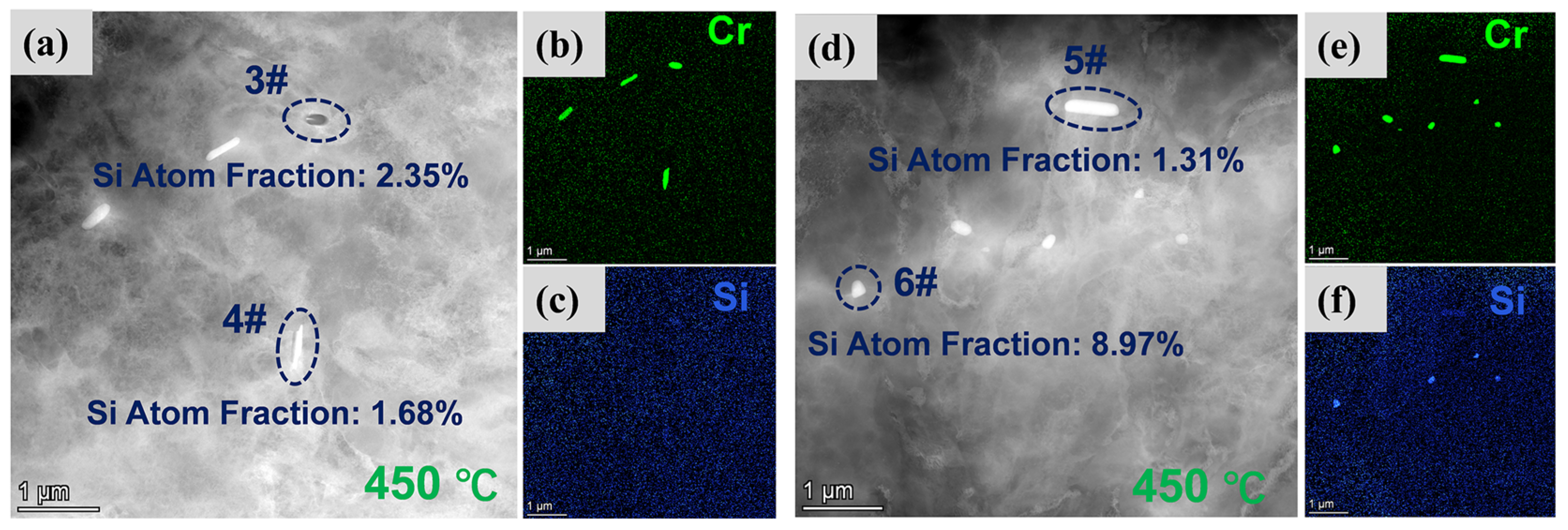 Coatings 14 00909 g008