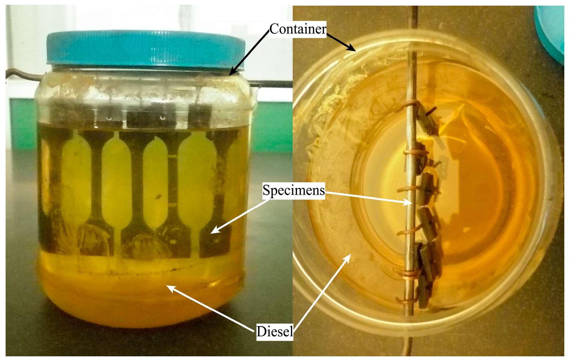 Coatings 14 00912 g003