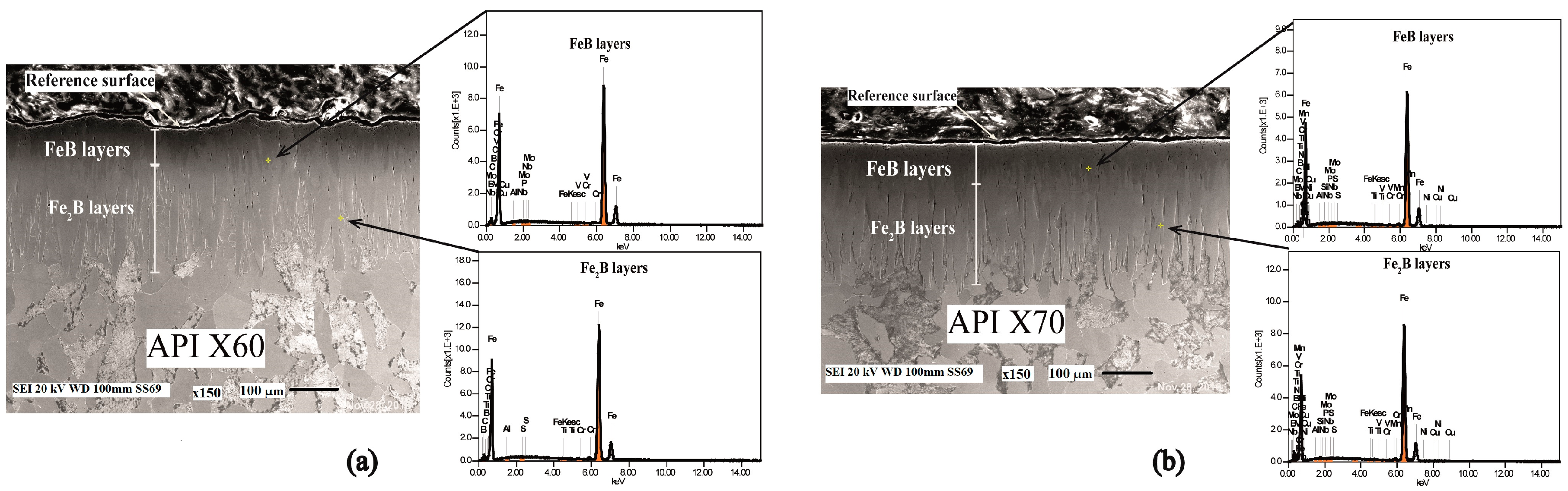 Coatings 14 00912 g005